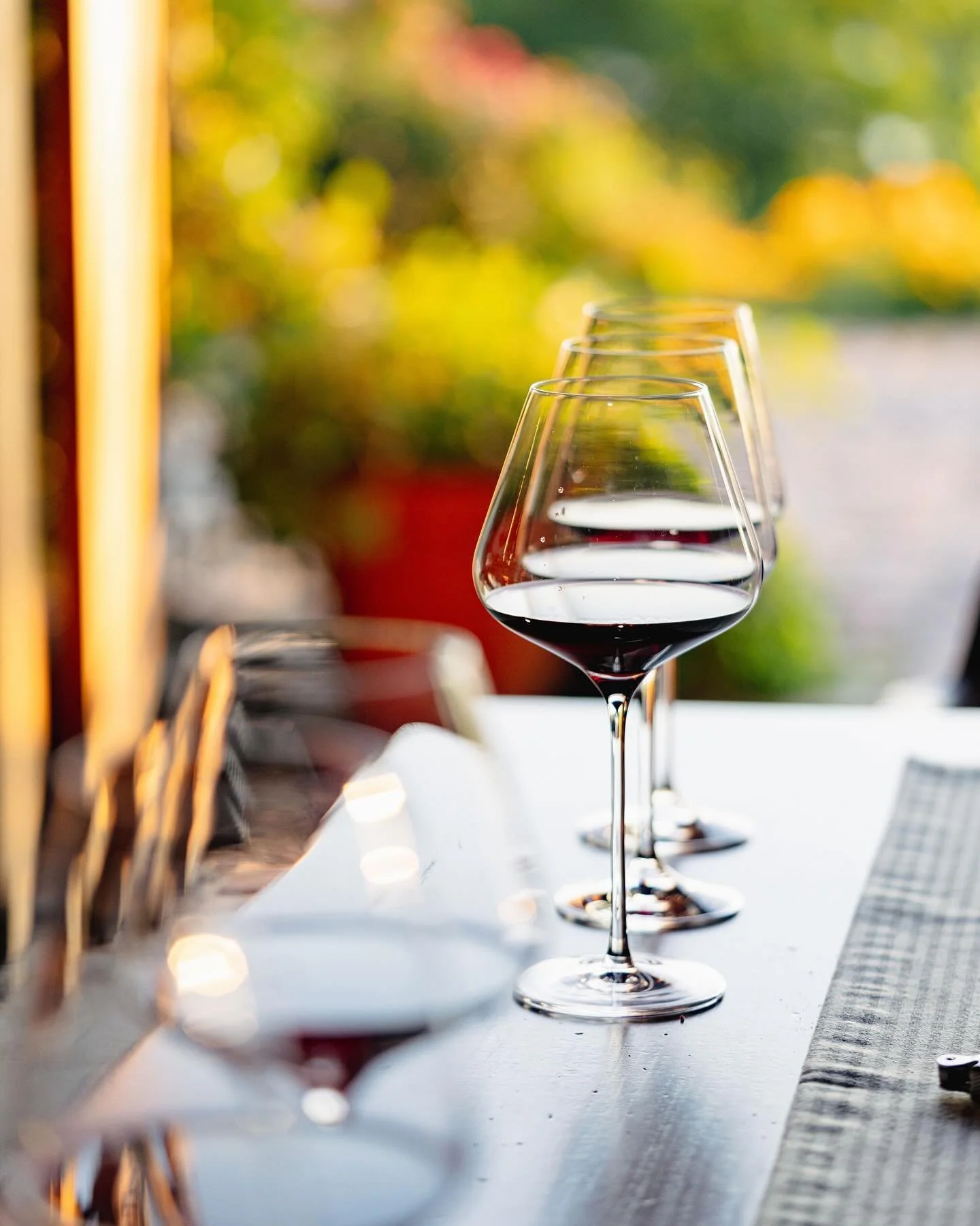 𝕁𝕦𝕟𝕖 𝟚𝟜
&bull;
&bull;
&bull;
#summer #keukalake #keuka #flx #garden #flowers #liveauthentic #livefolk #flowersofinstagram #bloom #nature #ourplanetdaily #exploretocreate #instanature #naturelovers #travelgram #travel #visualsofearth #visualsofl