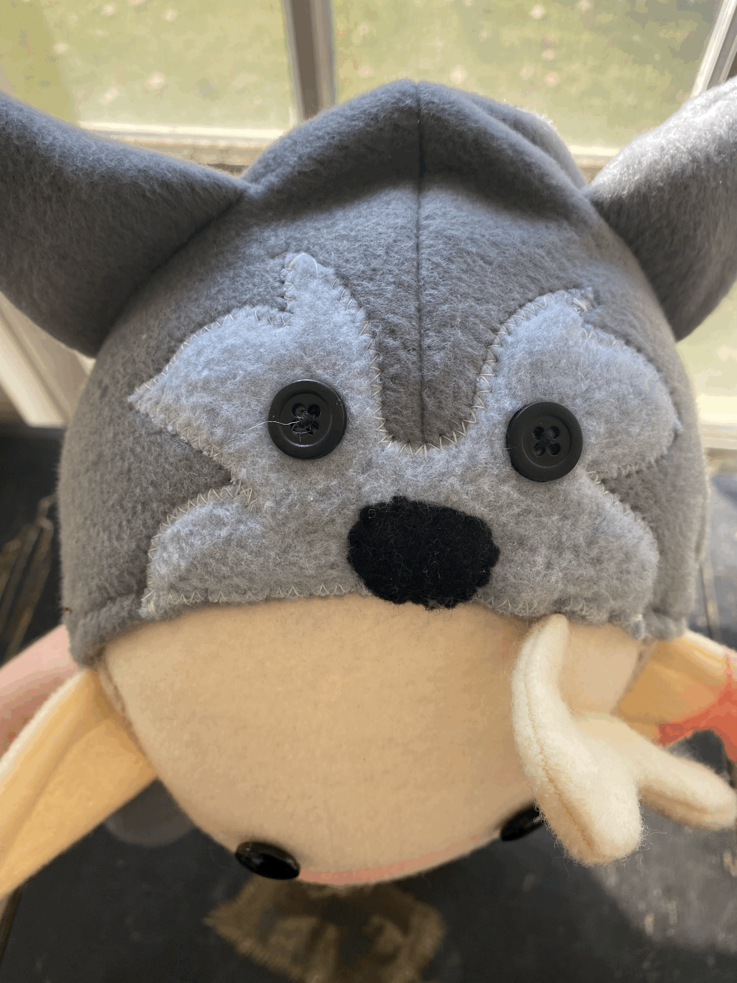tempImagev4Ru1B.gif