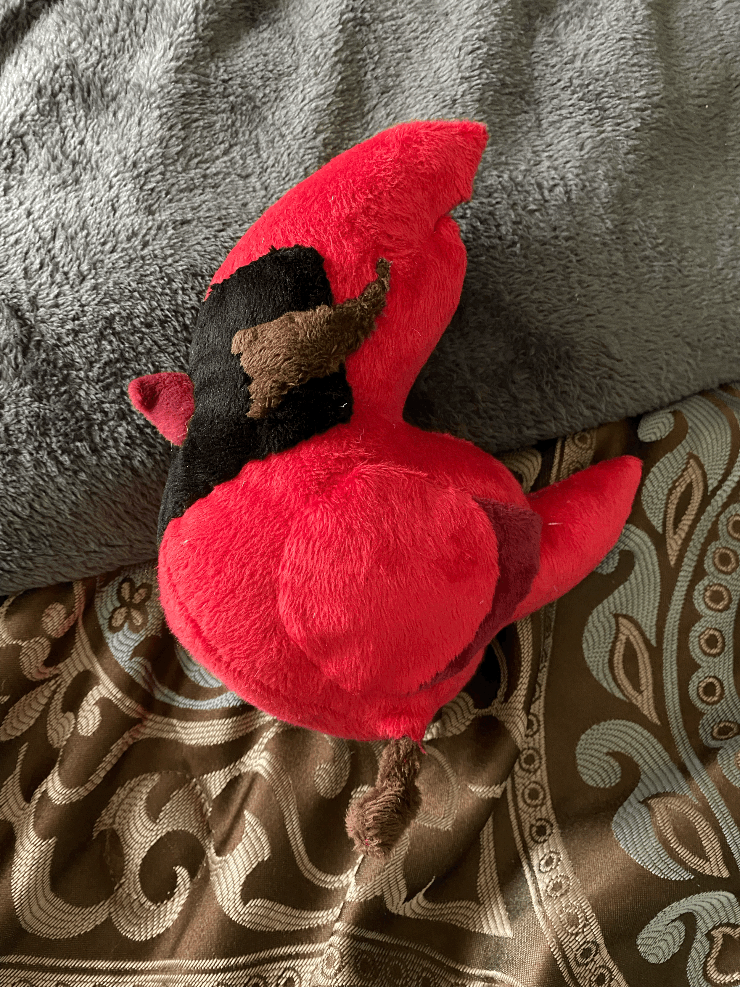 tempImageh9BjM7.gif