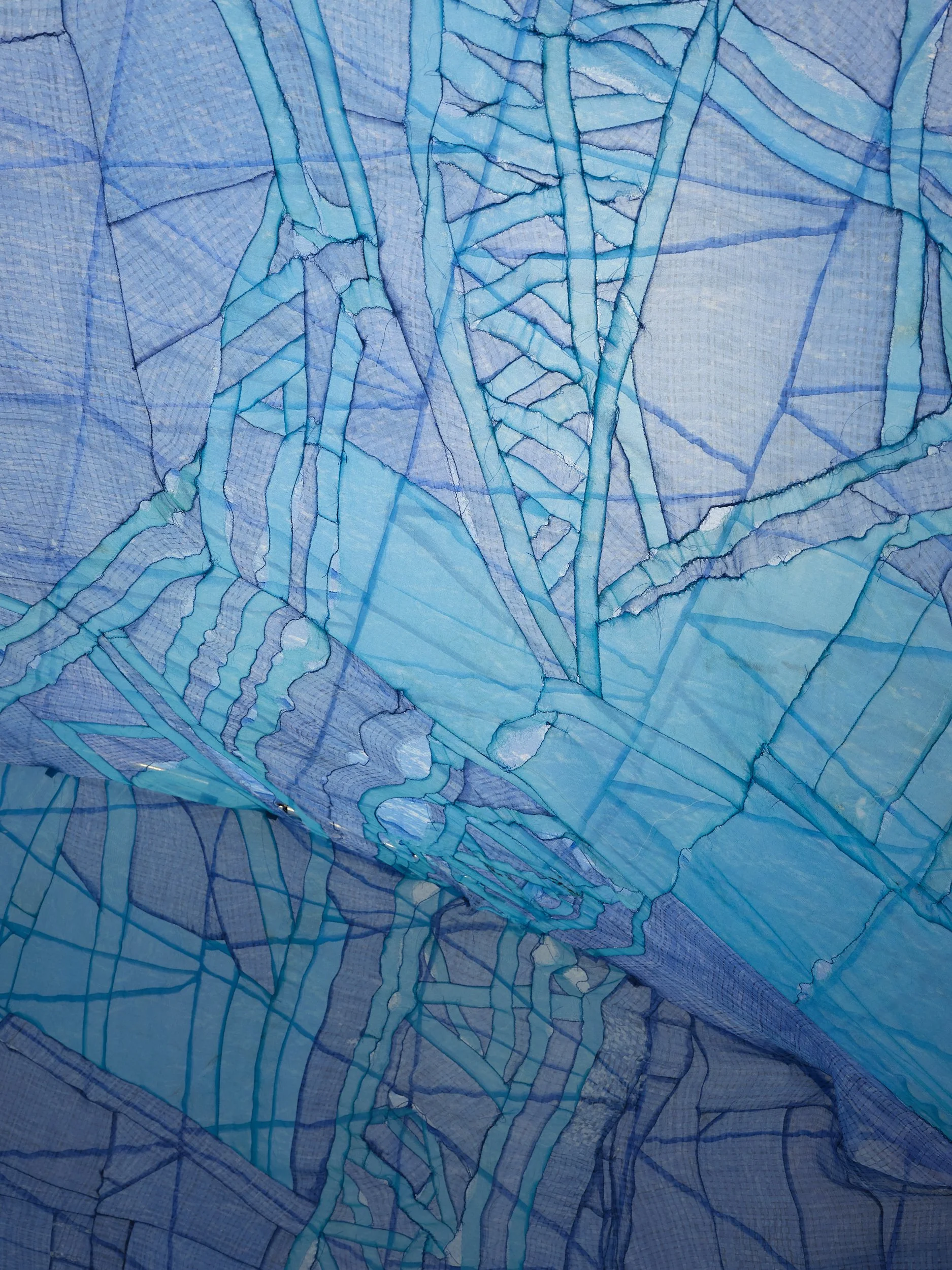 _DSF1011.jpg
