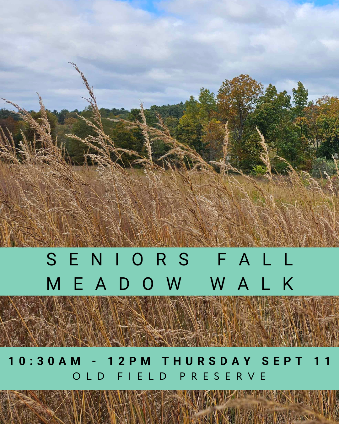 Seniors Fall Meadow Walk