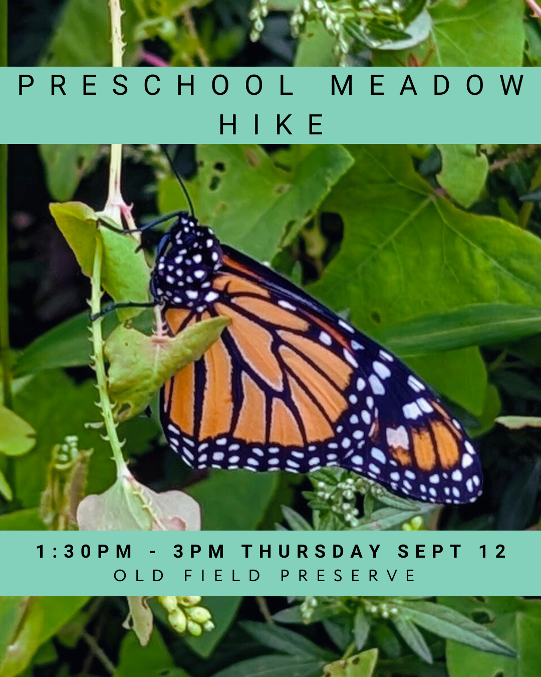 September Preschool Hike