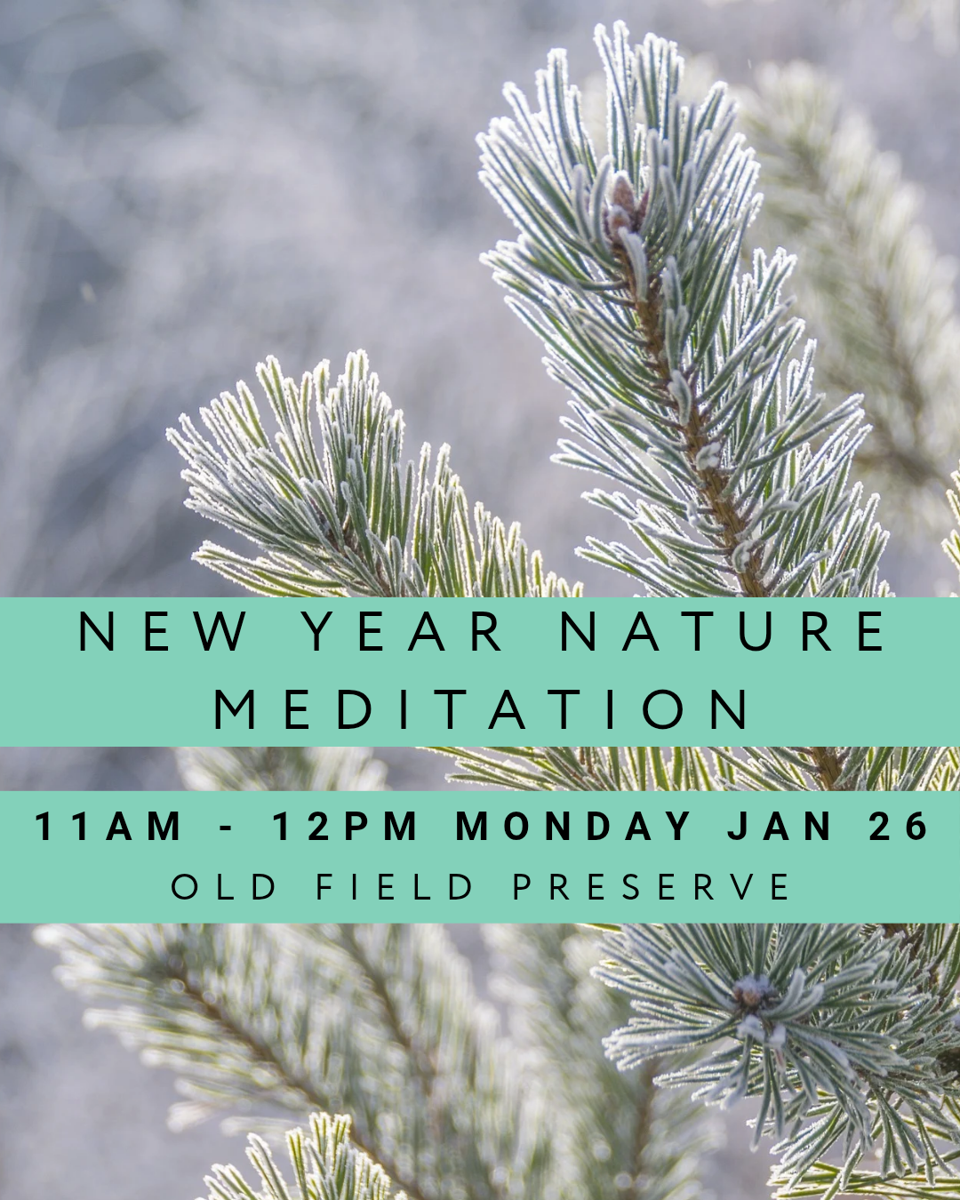 New Year Nature Meditation