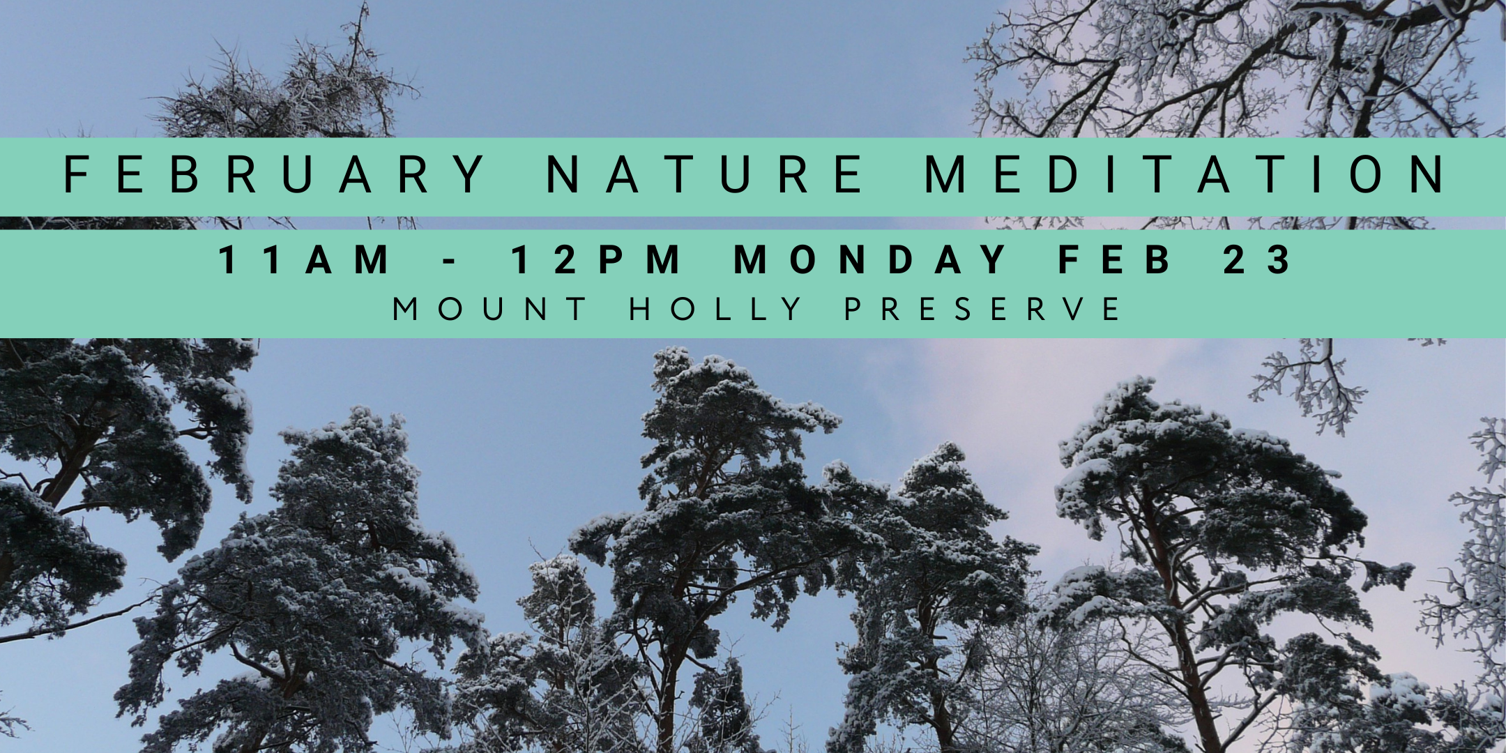 February Nature Meditation
