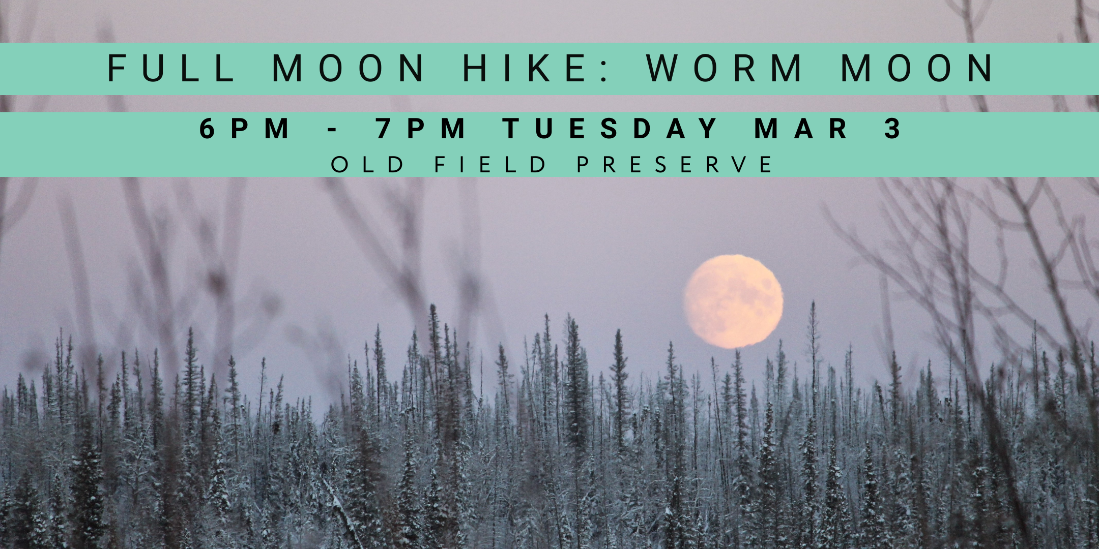 Full Moon Hike: Worm Moon