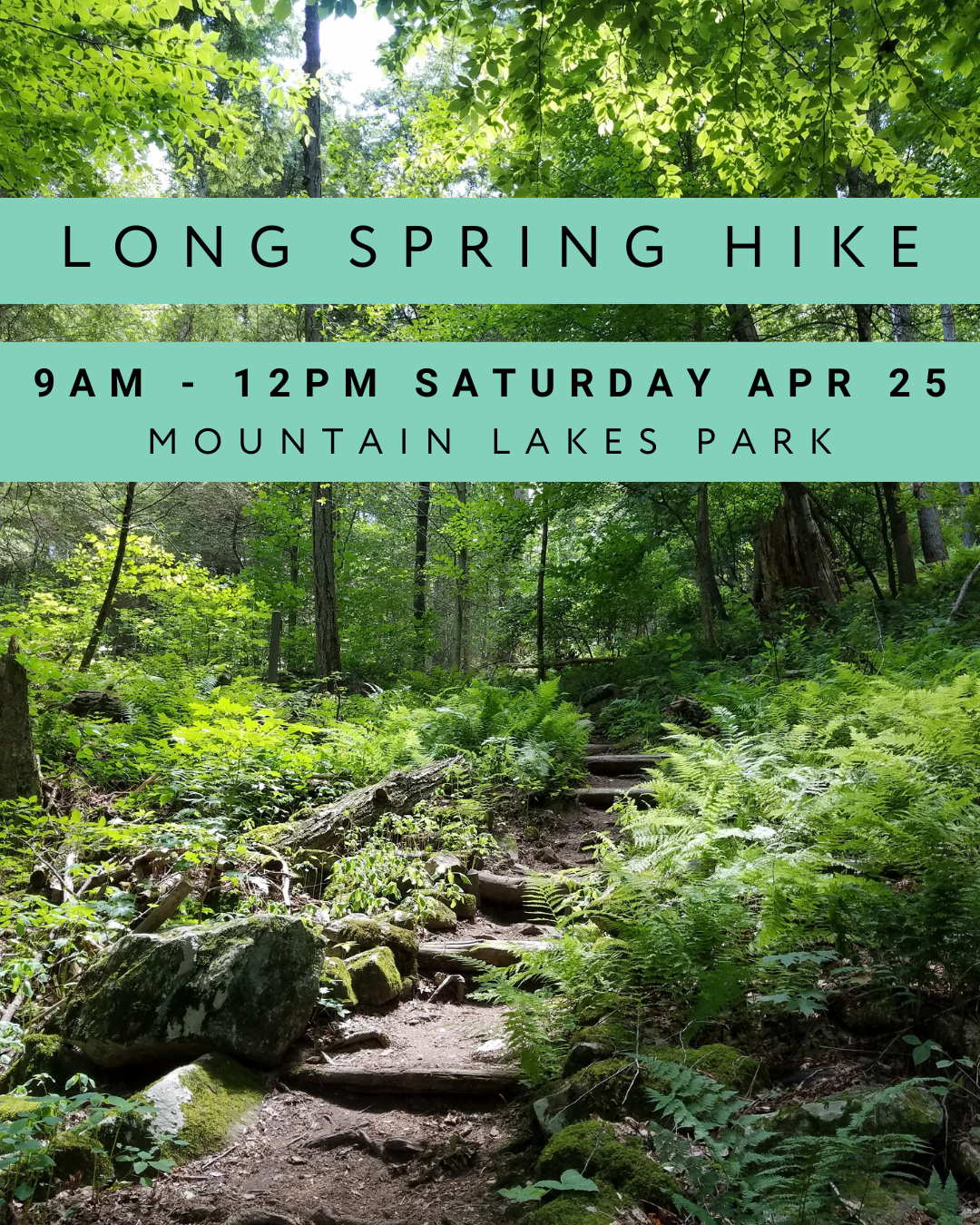 Long Spring Hike