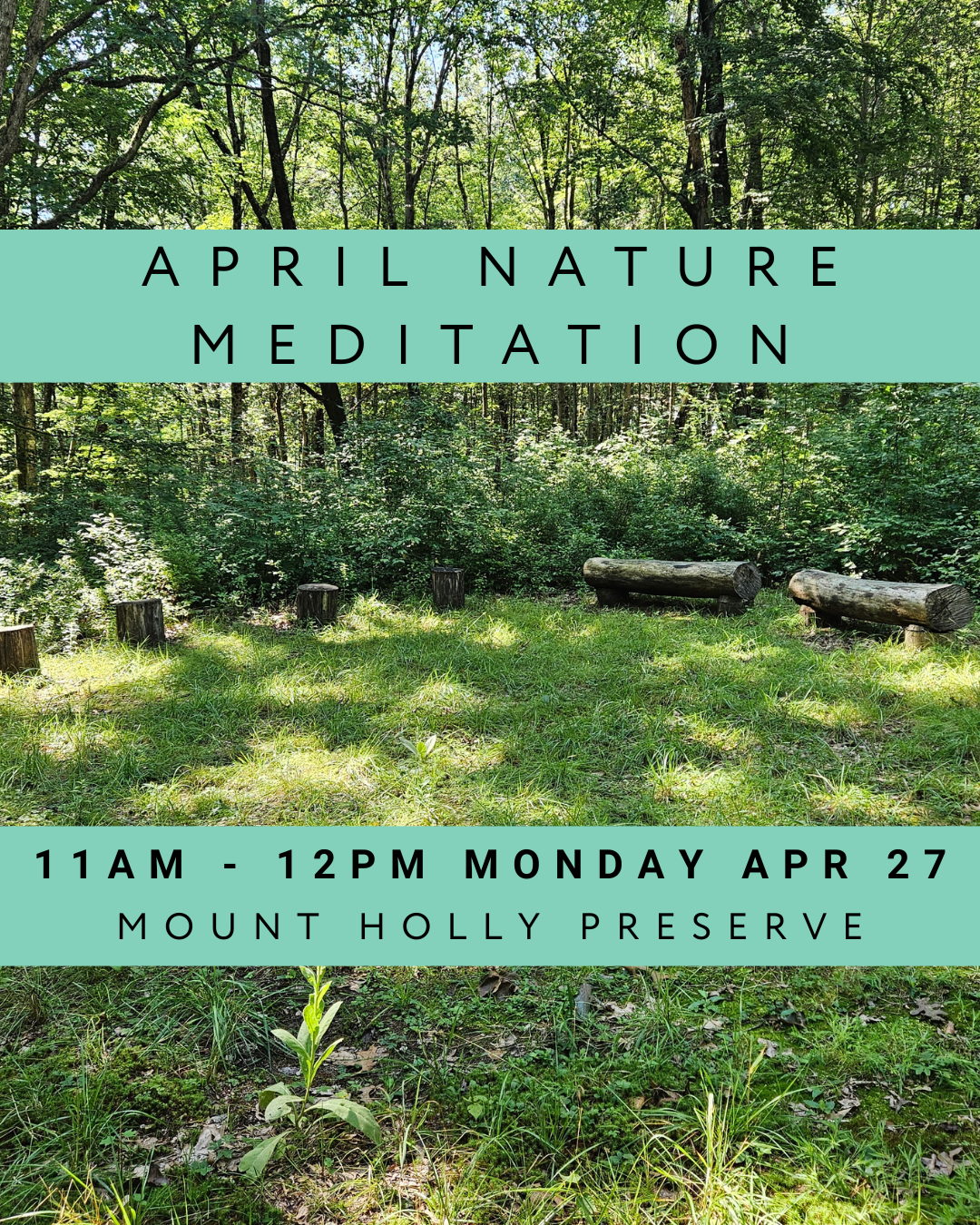 April Nature Meditation