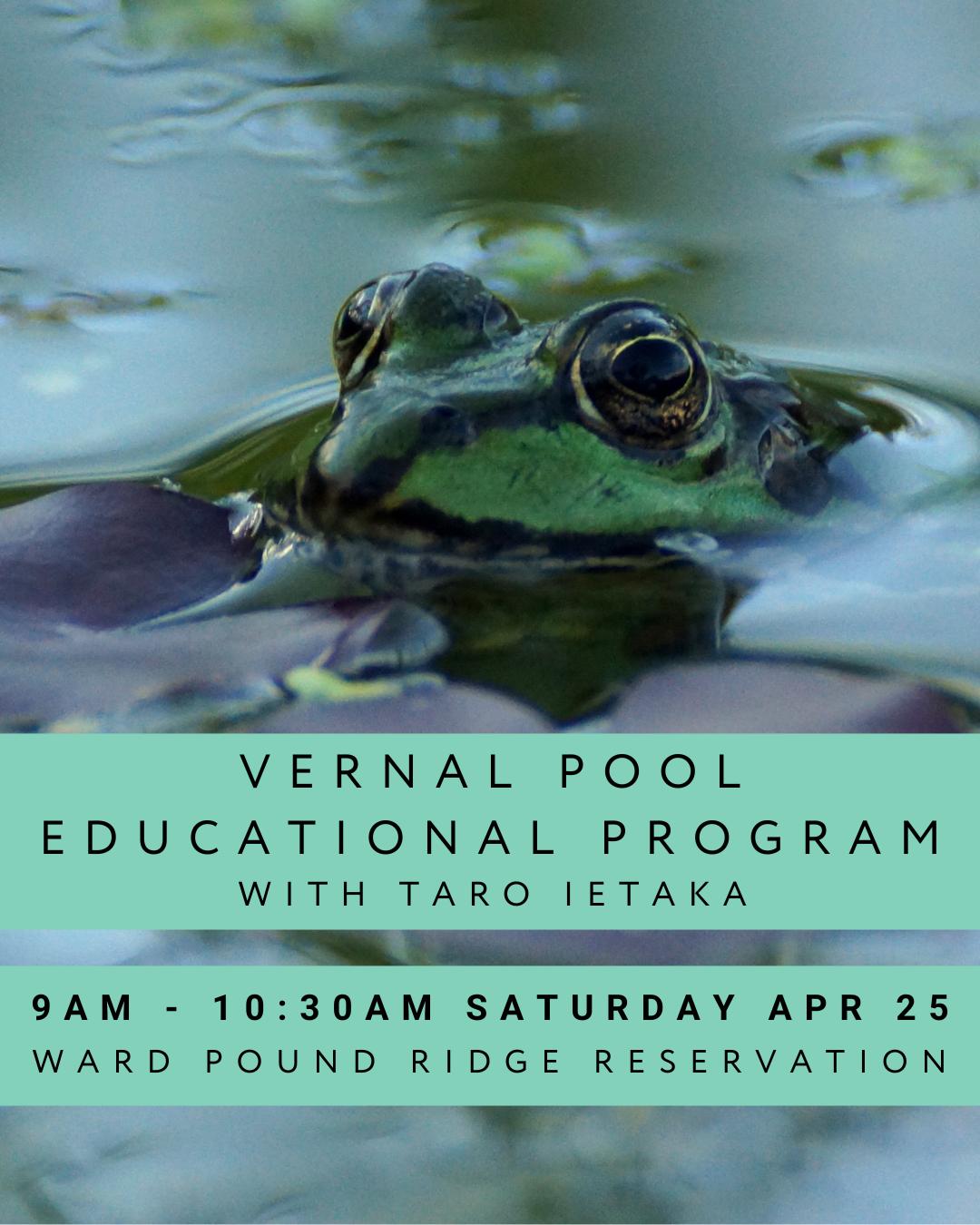 Vernal Pool Educational Program with Taro Ietaka