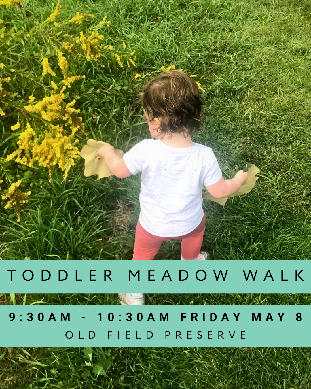 Toddler Meadow Walk