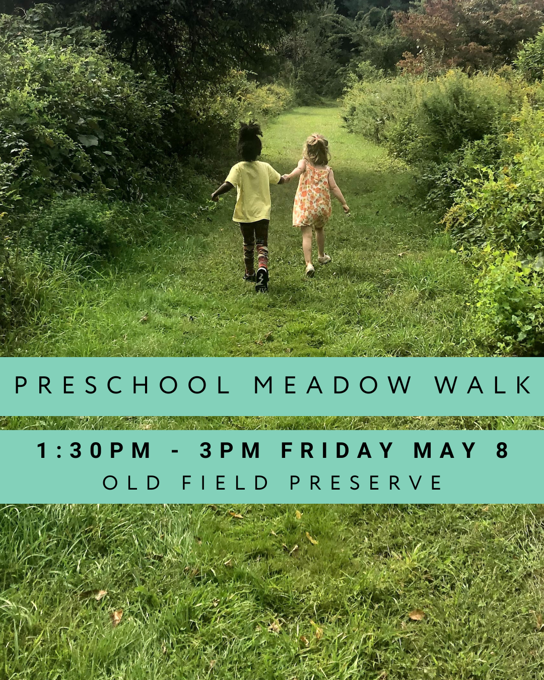 Preschool Meadow Walk