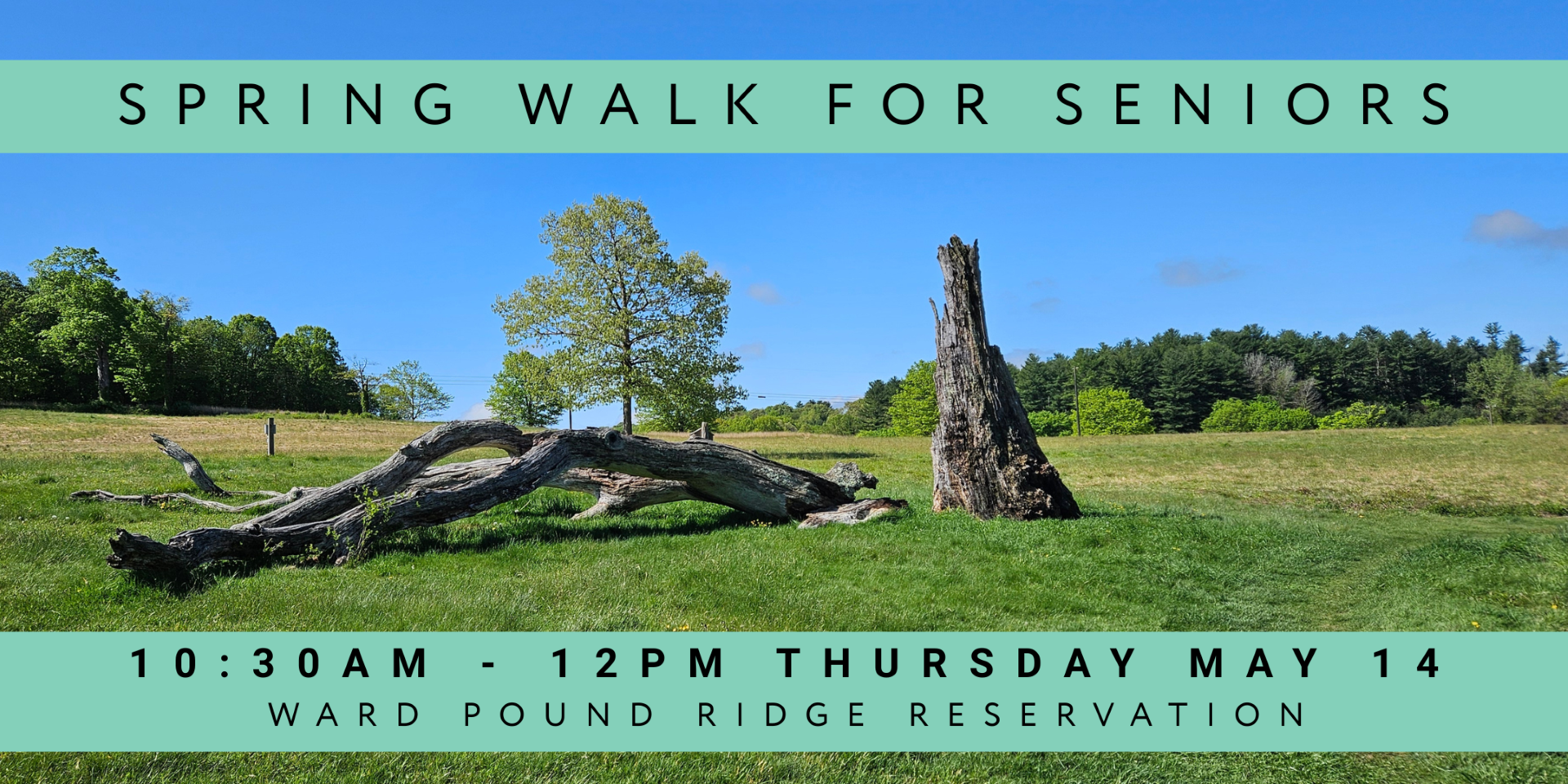 Spring Walk for Older Adults