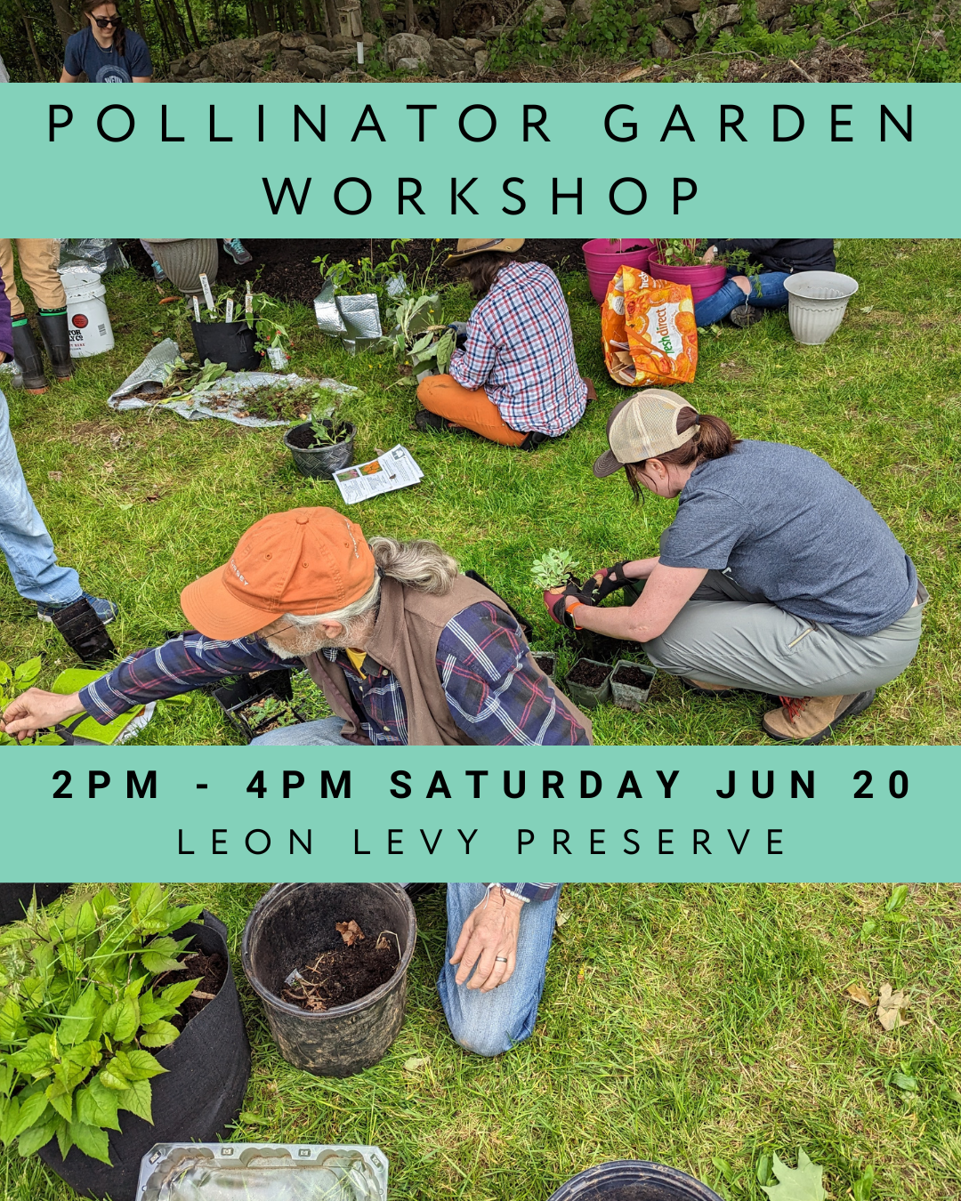 Pollinator Garden Workshop