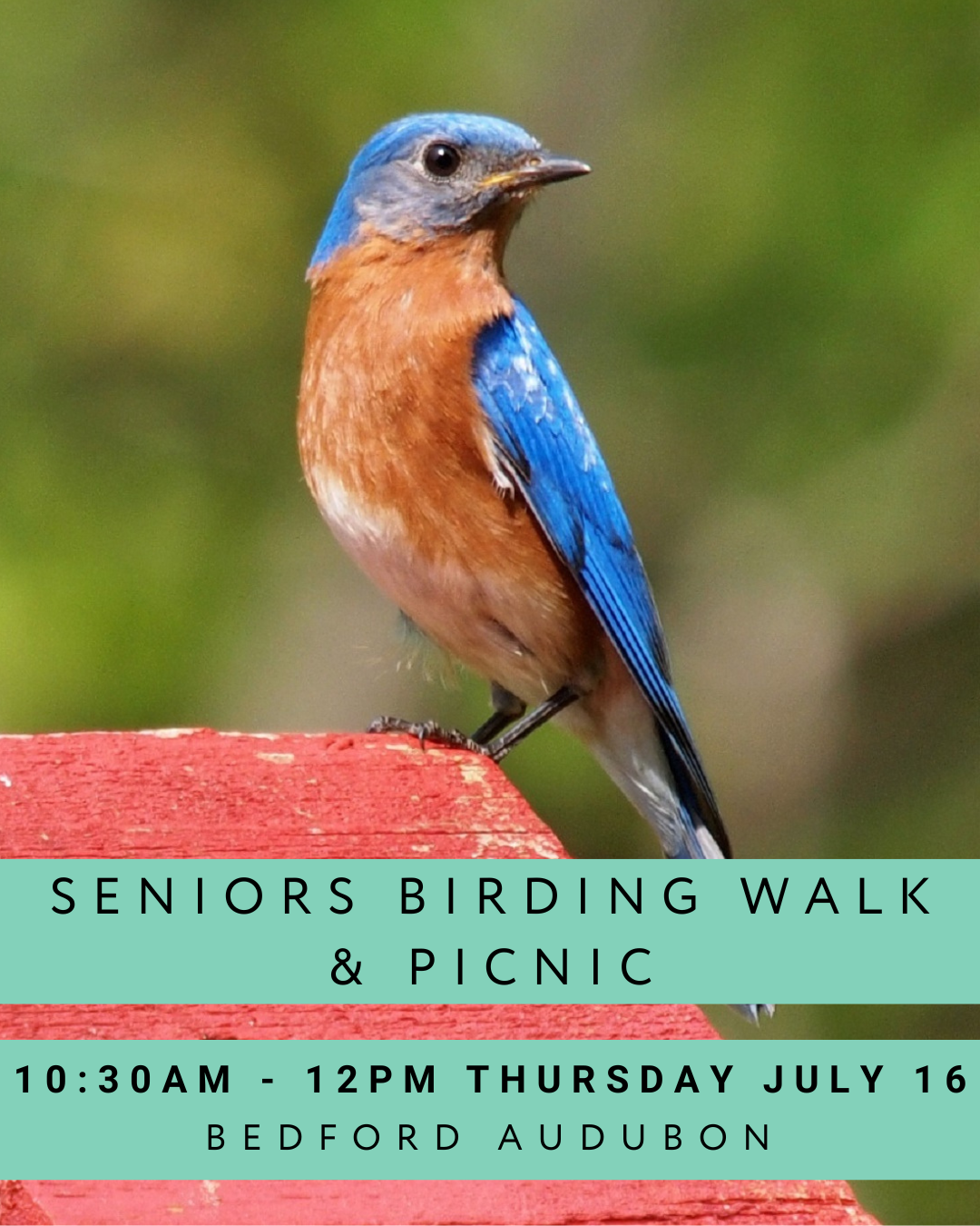 Seniors Birding Walk &amp; Picnic