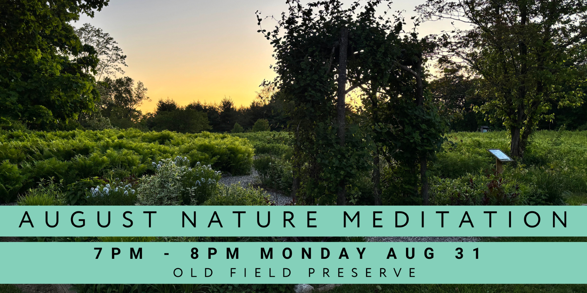 August Nature Meditation