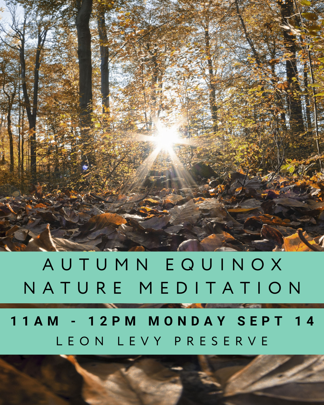 Autumn Equinox Nature Meditation
