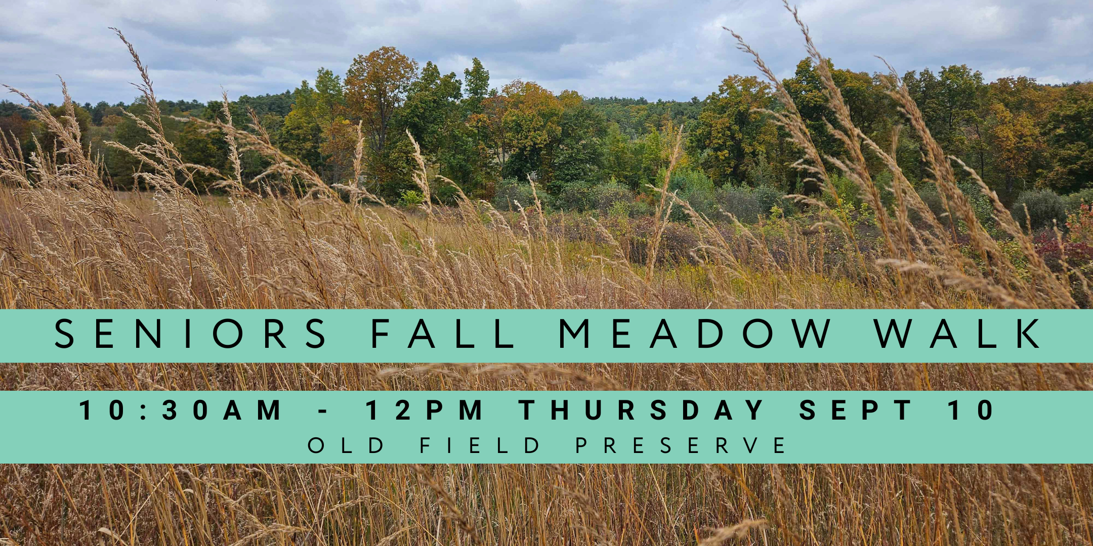 Seniors Fall Meadow Walk