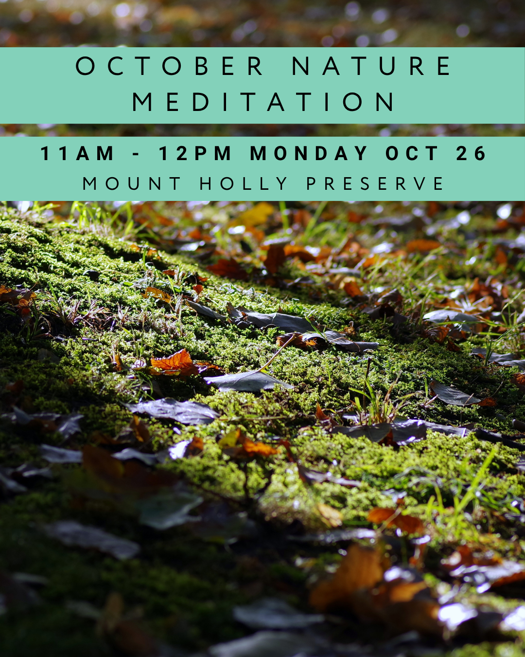 October Nature Meditation