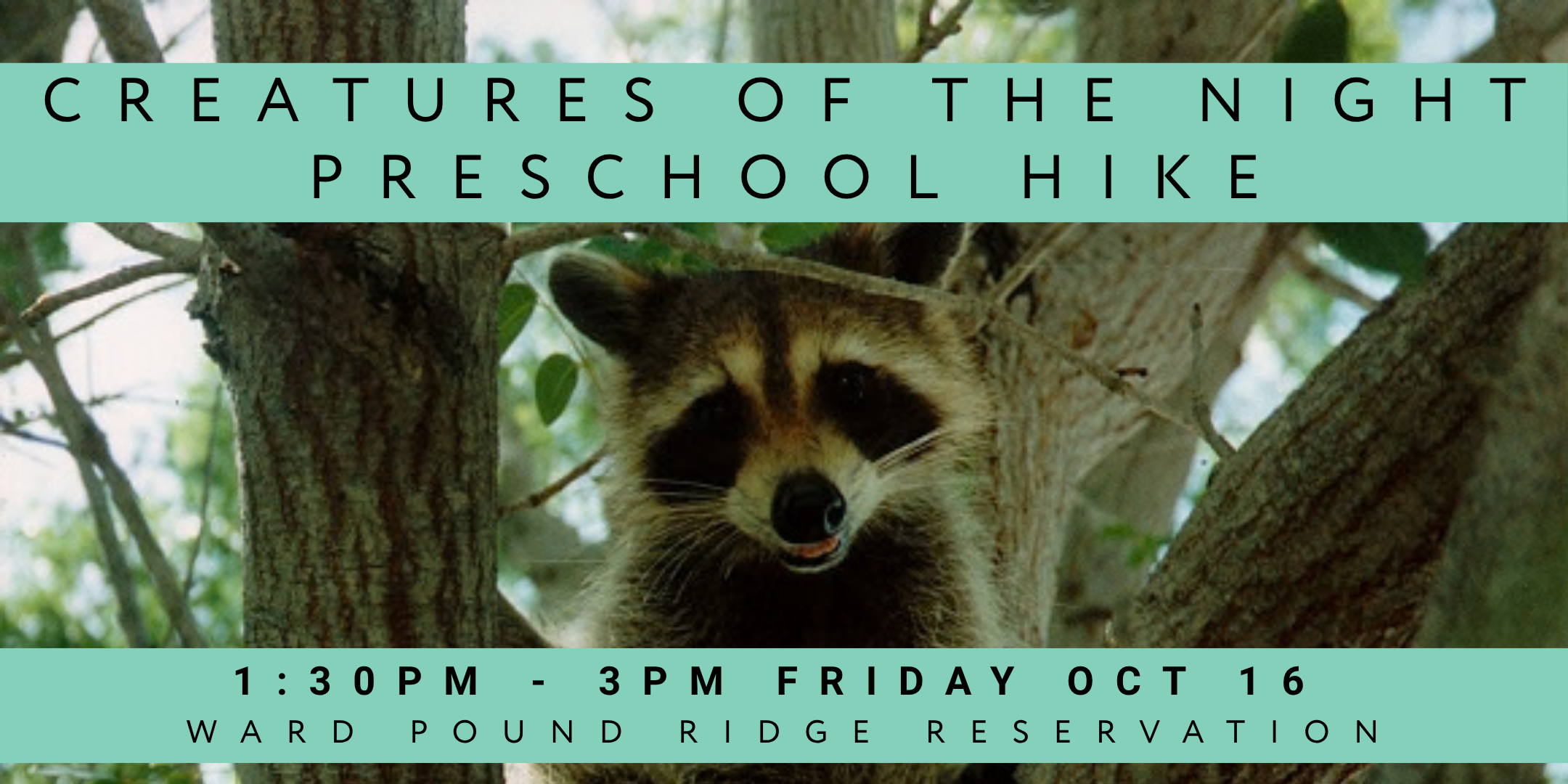 Creatures of the Night Preschool Hike