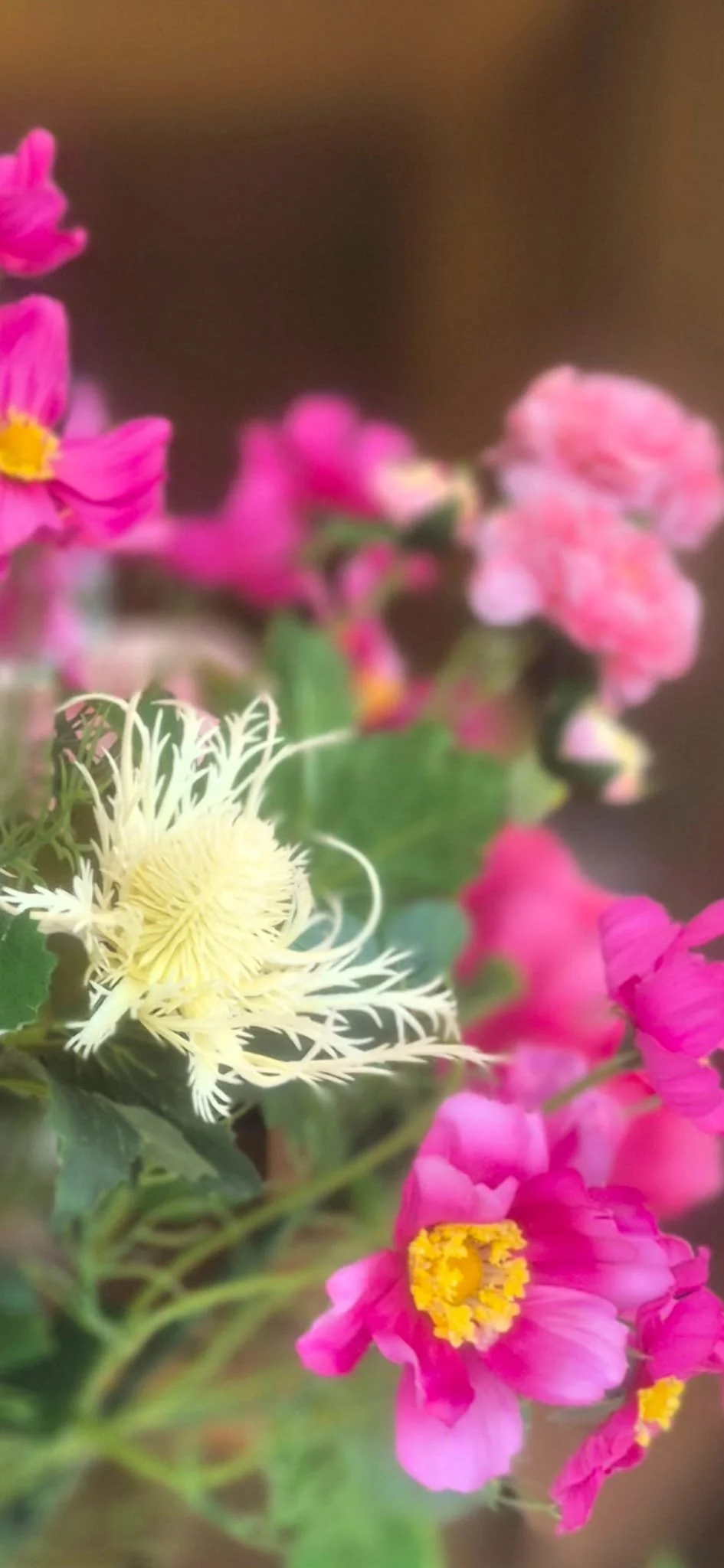 WhatsApp Image 2026-03-25 at 13.37.33 (2).jpeg