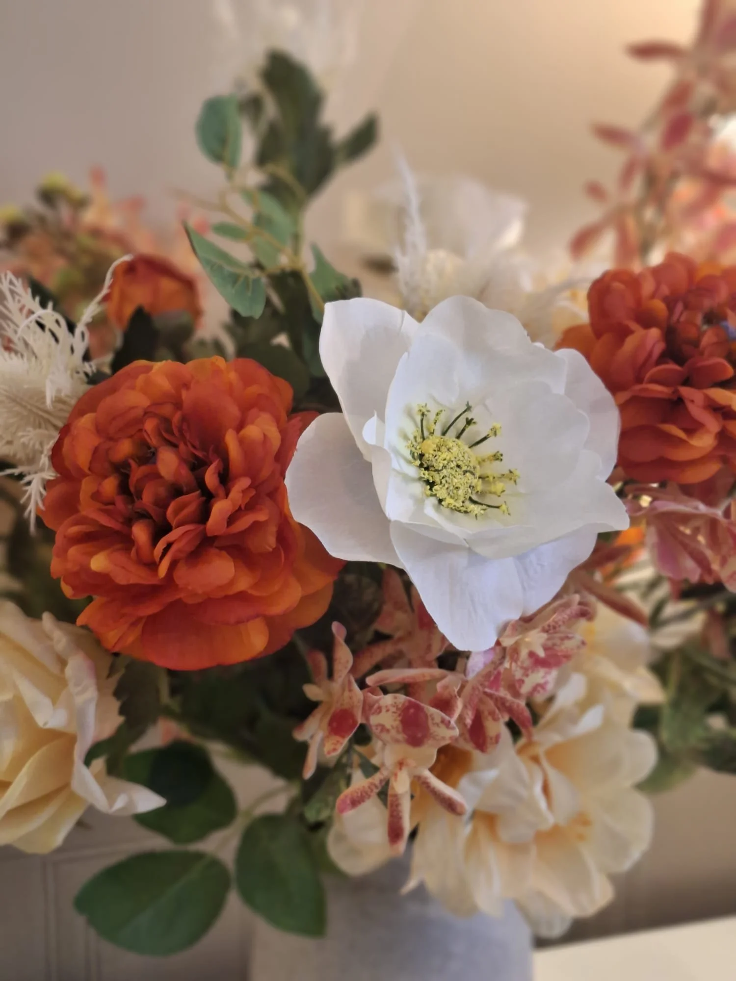 WhatsApp Image 2026-03-25 at 13.37.36.jpeg