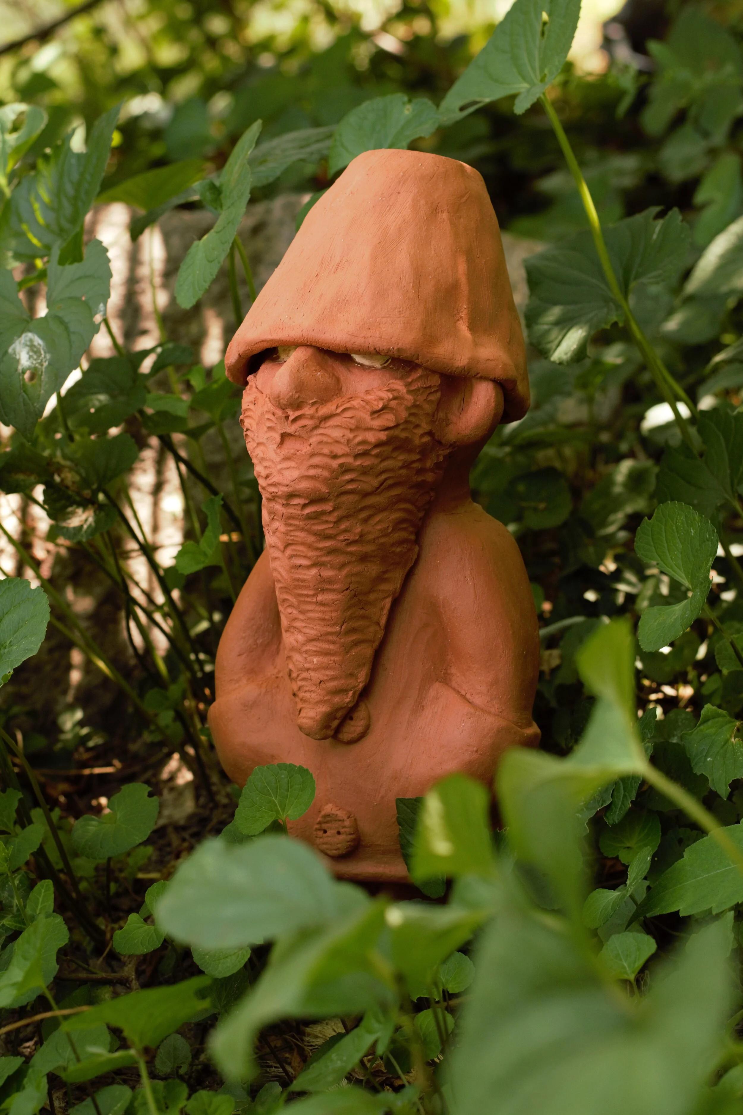 Long Beard Gnome.jpg
