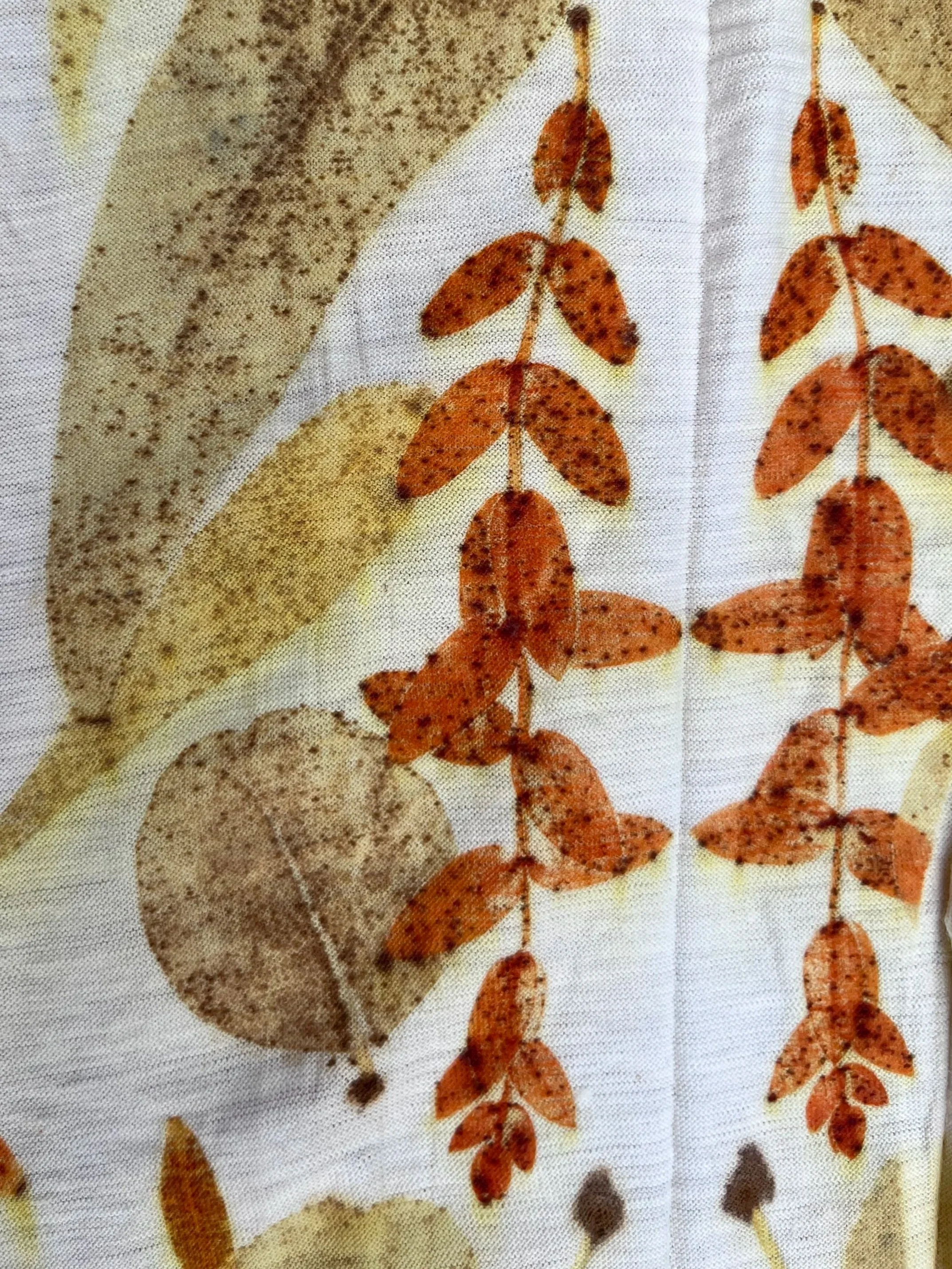 Eucalyptus on wool