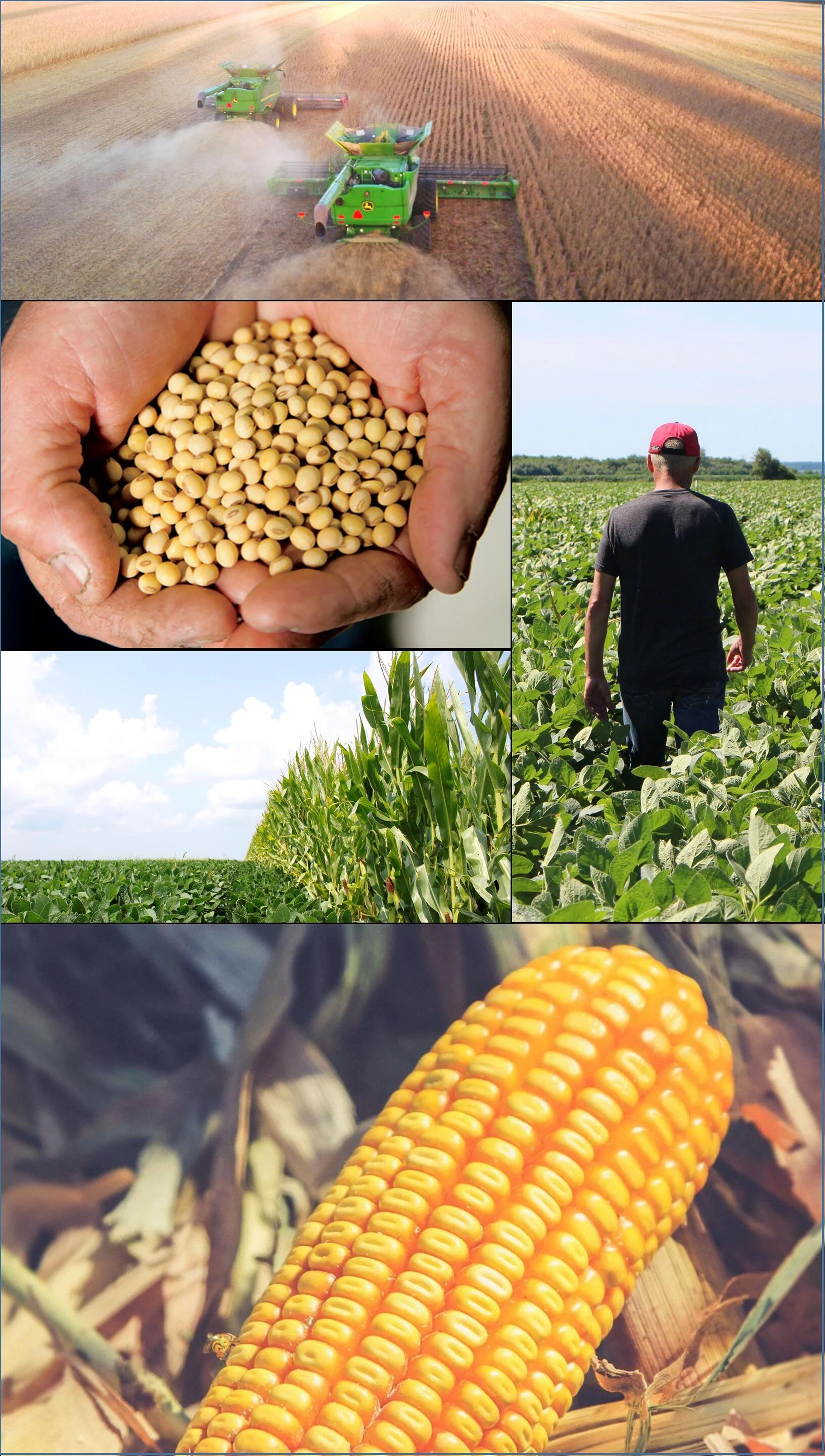 who we are collage.jpg