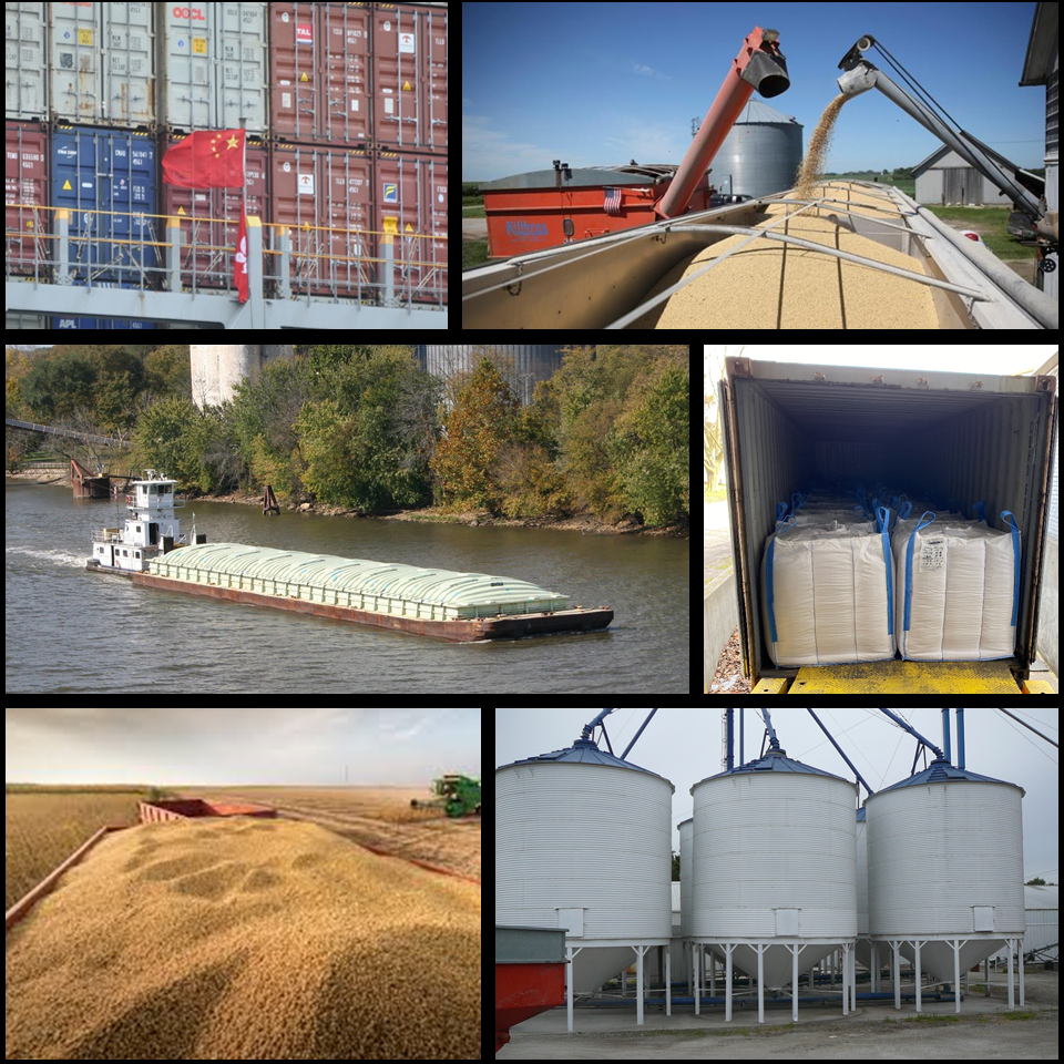 services collage - cba.png