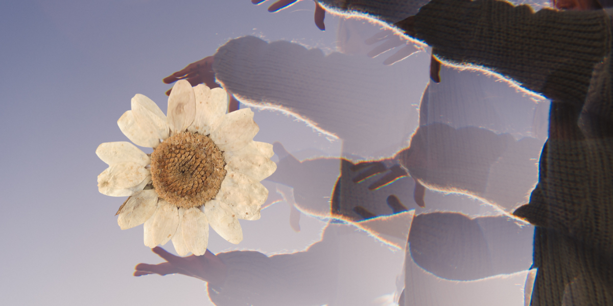 Supporting Children’s Emotional Wellbeing Through Change.