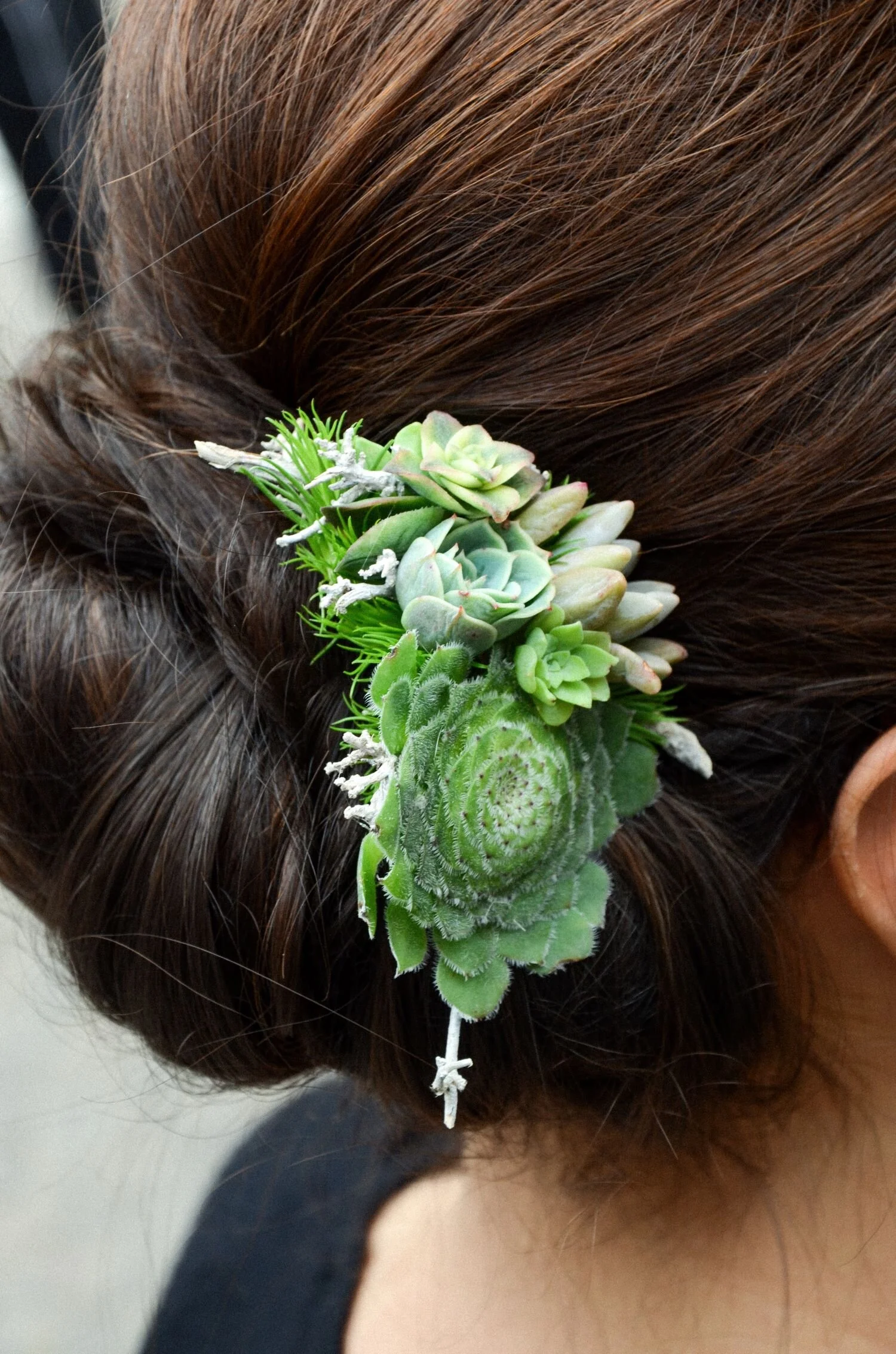 fermaglio di fiori  da sposa con echeverie e piante grasse perfetta per una sposa