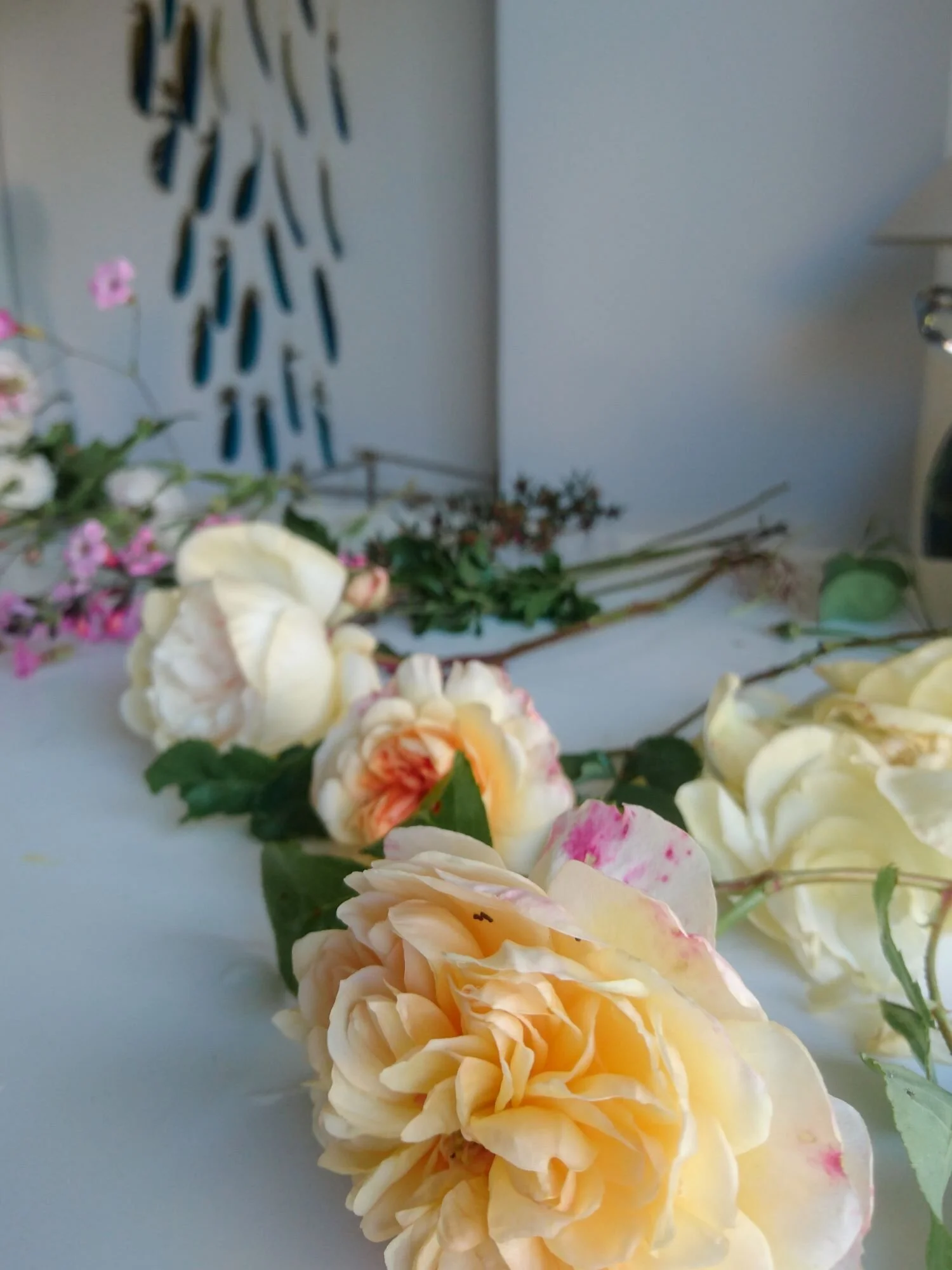 Port Sunlight rose, and Jude the Obscure rose. Homegrown David Austin roses.