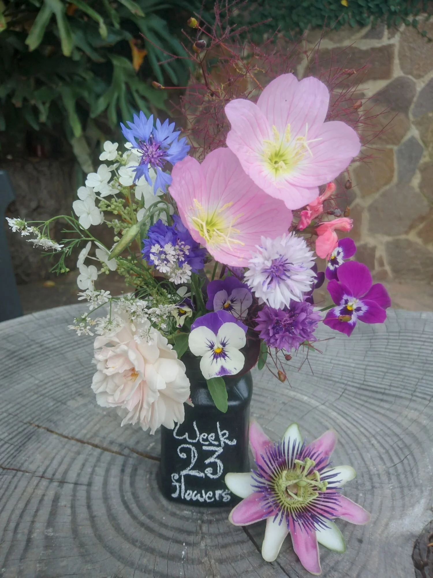 week 23 flowers, northern hemisphere. Fiori di primavera