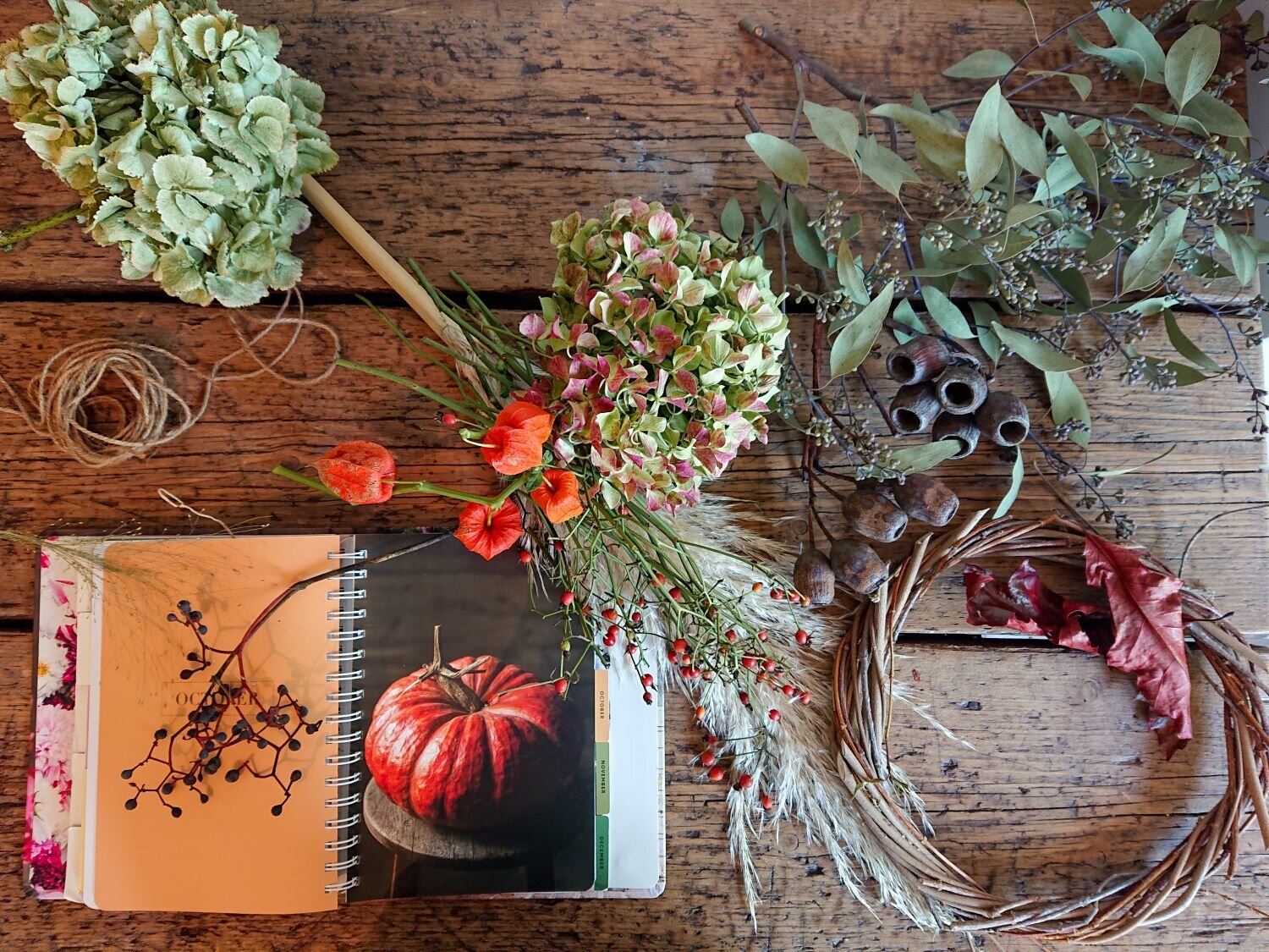 Flatlay of the ingredients for an autumn wreath. Wreath base made of woven twigs, green hydrangeas and an open book depicting an orange pumpkin. L'inizio di una ghirlanda autunnale, una base di rami, ortensie verdi, e un libro aperto con una zuccha a