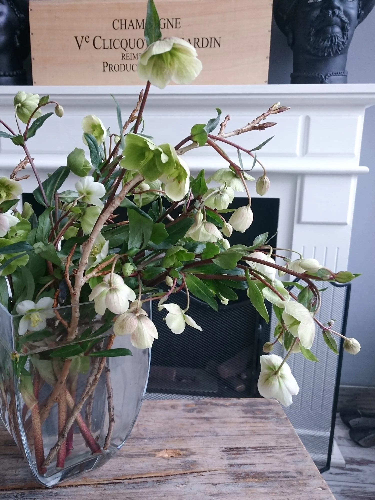hellebores-white.jpg