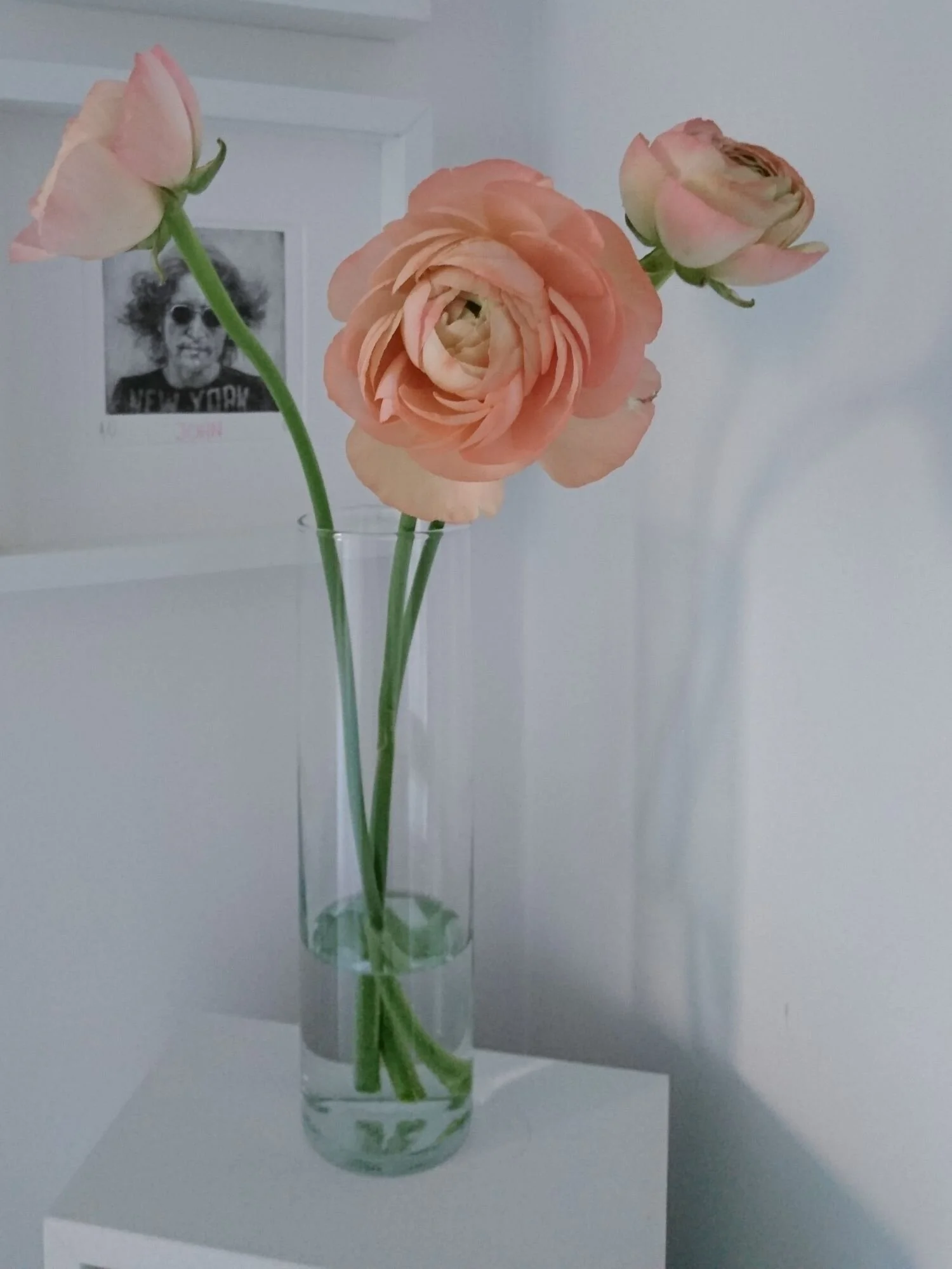 peach-ranunculus.jpg