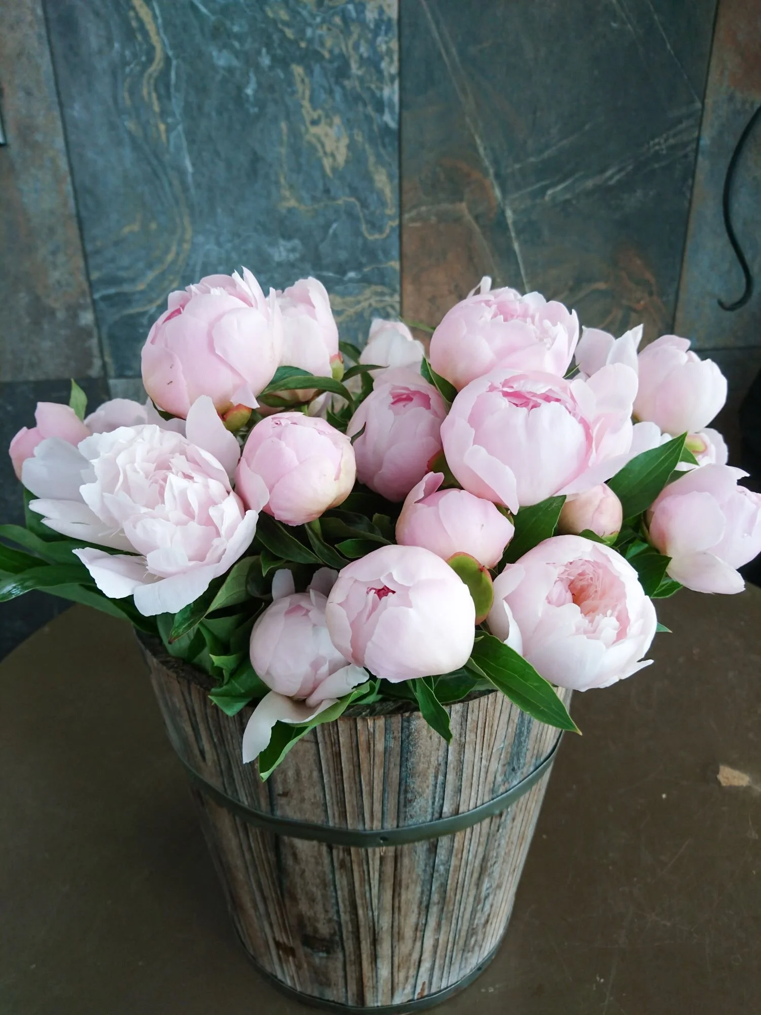 Bucket of pink peonies in spring. Secchio di peonie rosa in primavera