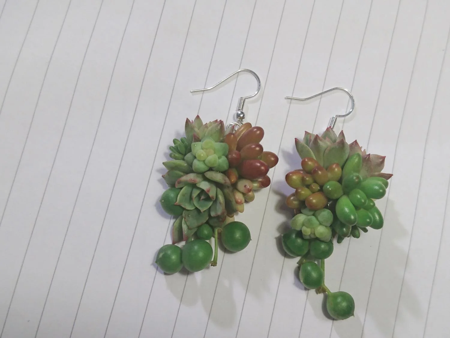 Orecchini di piante grasse. Perfetto per una sposa al matrimonio. Accessori floreali insoliti