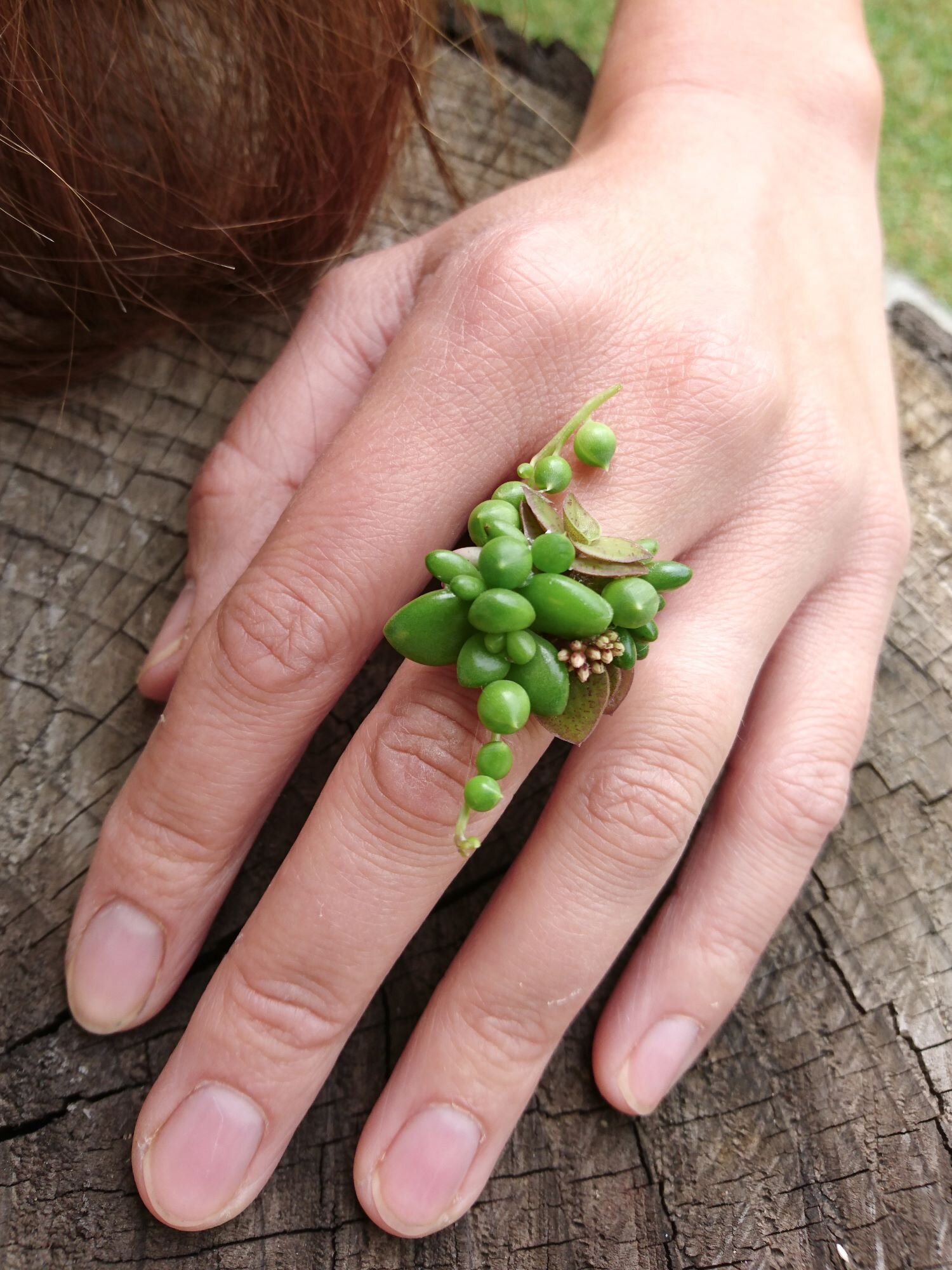 Anello di piantine grasse. Accessori floreali insoliti
