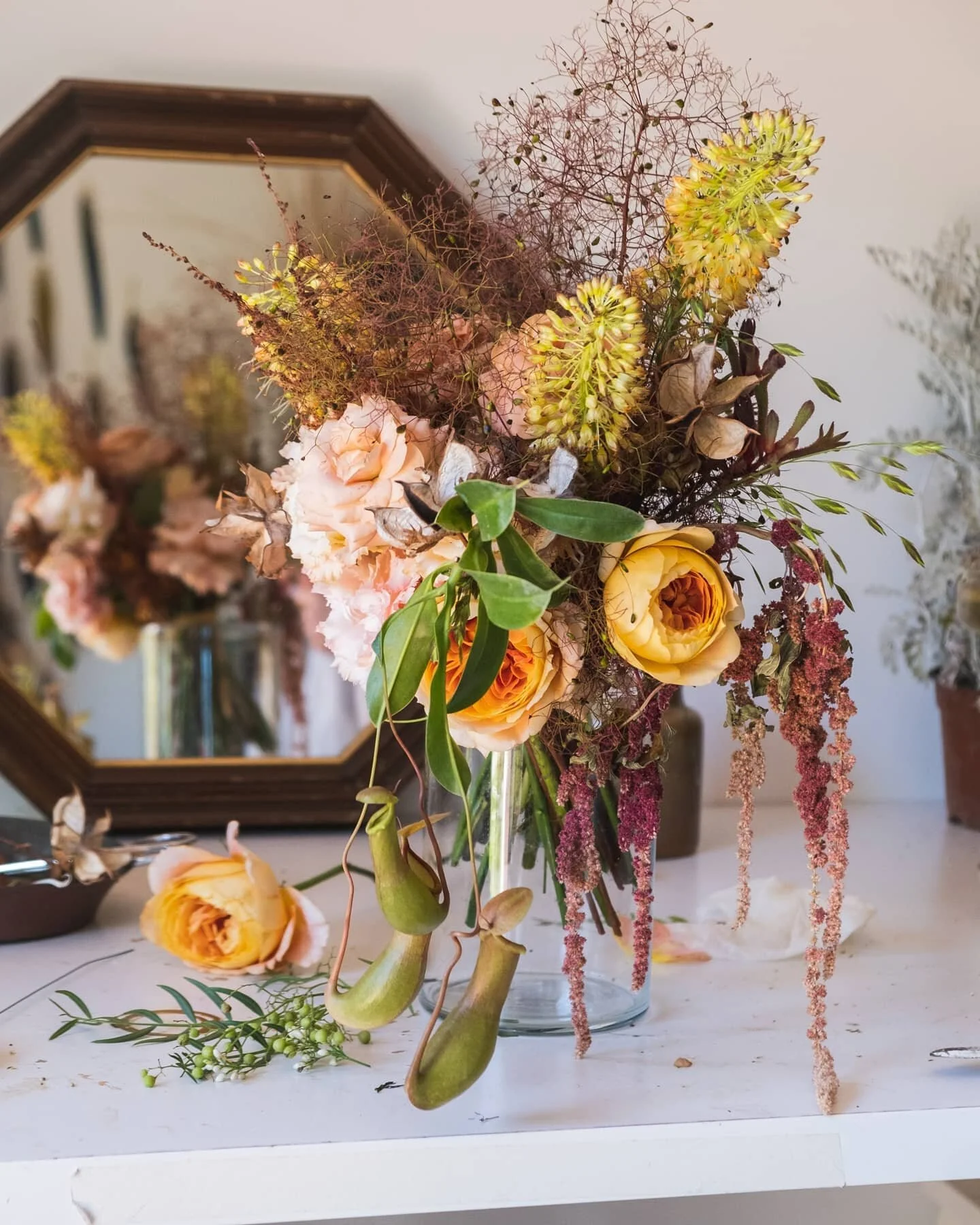 Carnivores plants in a bridal bouquet. Not recommended for a bridezilla! Danger of being eaten!

Ingredients: peach vuvuzela roses, eremurus, flexed lisianthus, dark smokebush, dried empty cotton pods, dried astilbe, dried and faded amaranthus, weeds