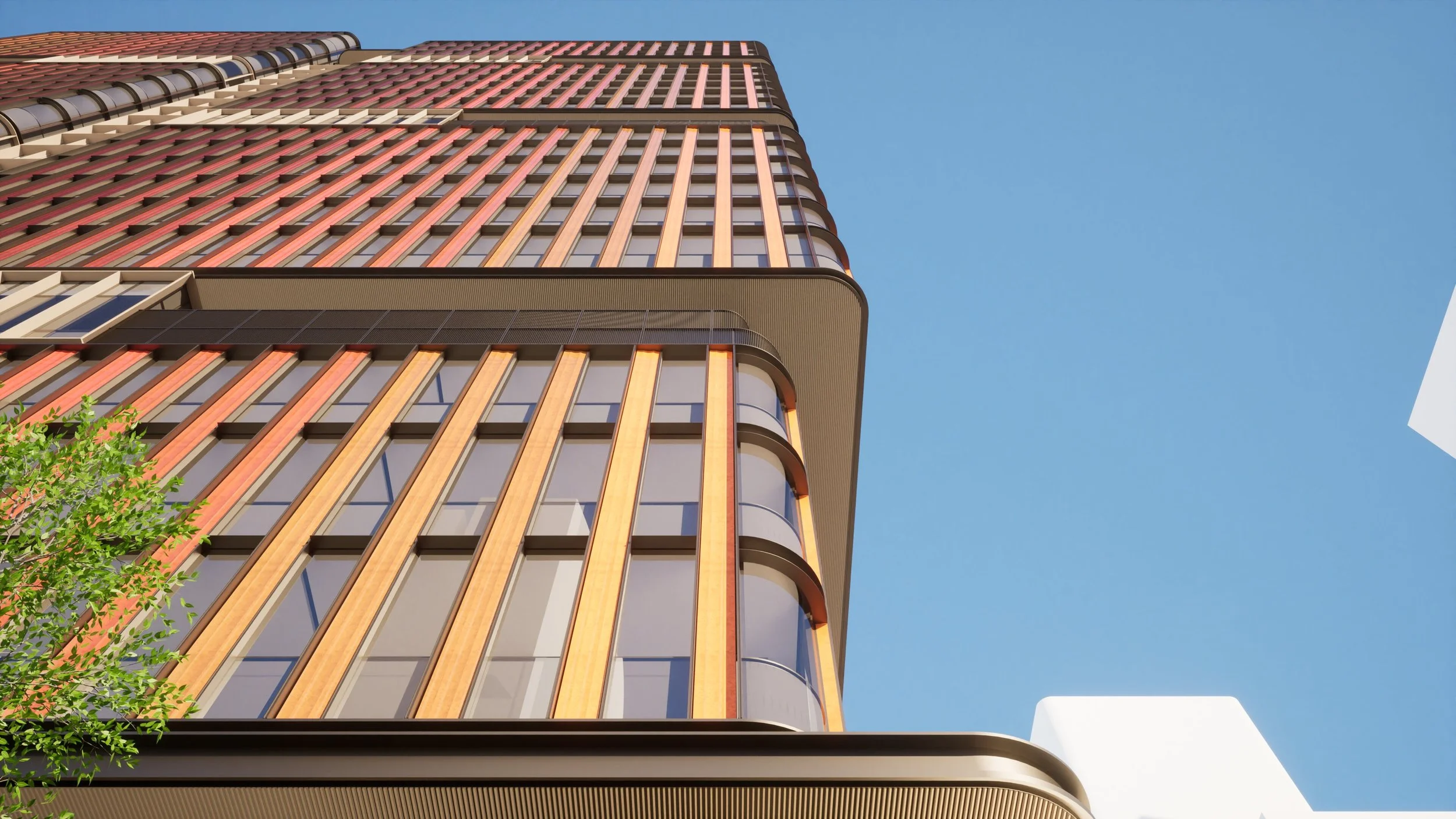 SW Corner Looking Up.jpg