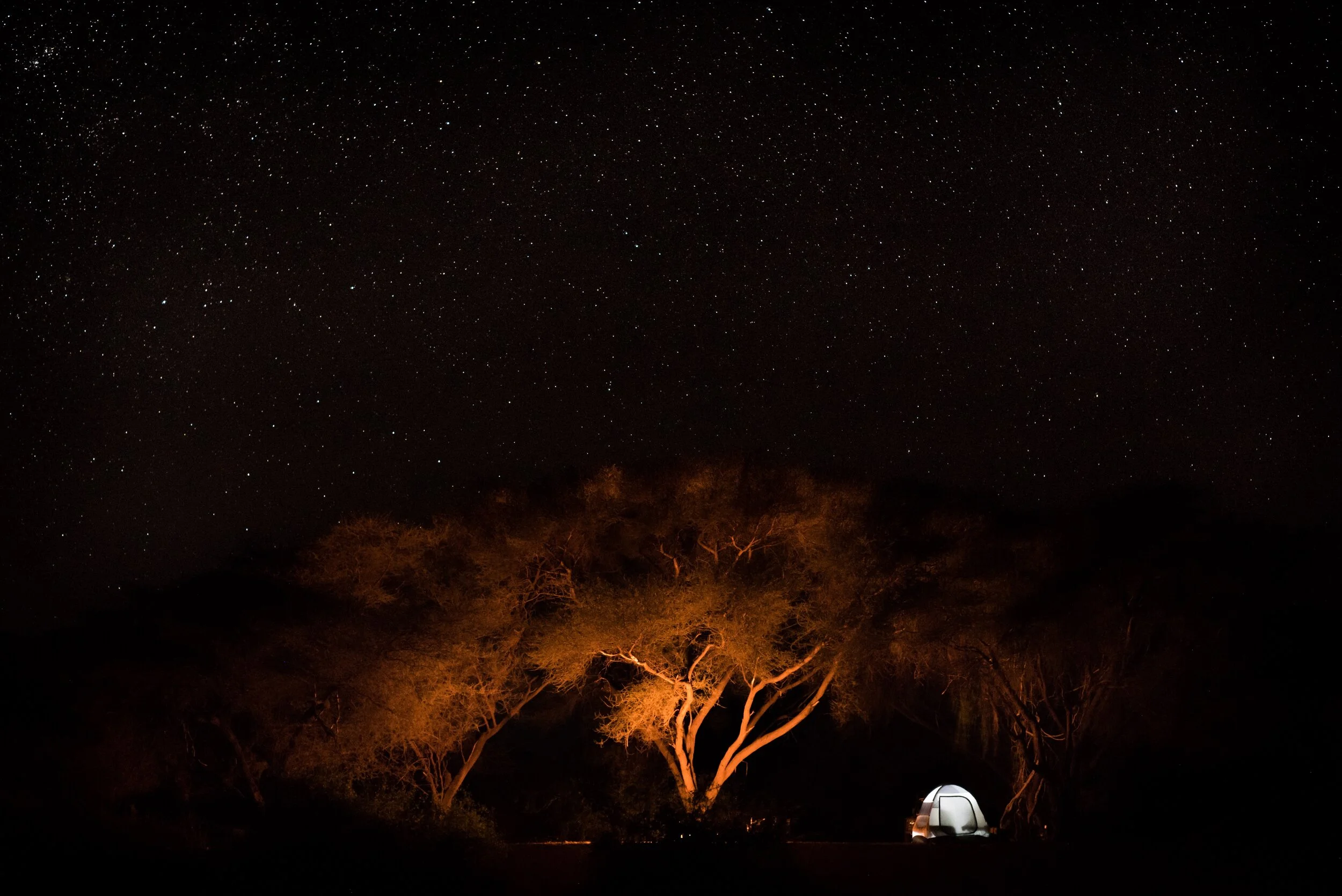 Sera Conservancy, Kenya 