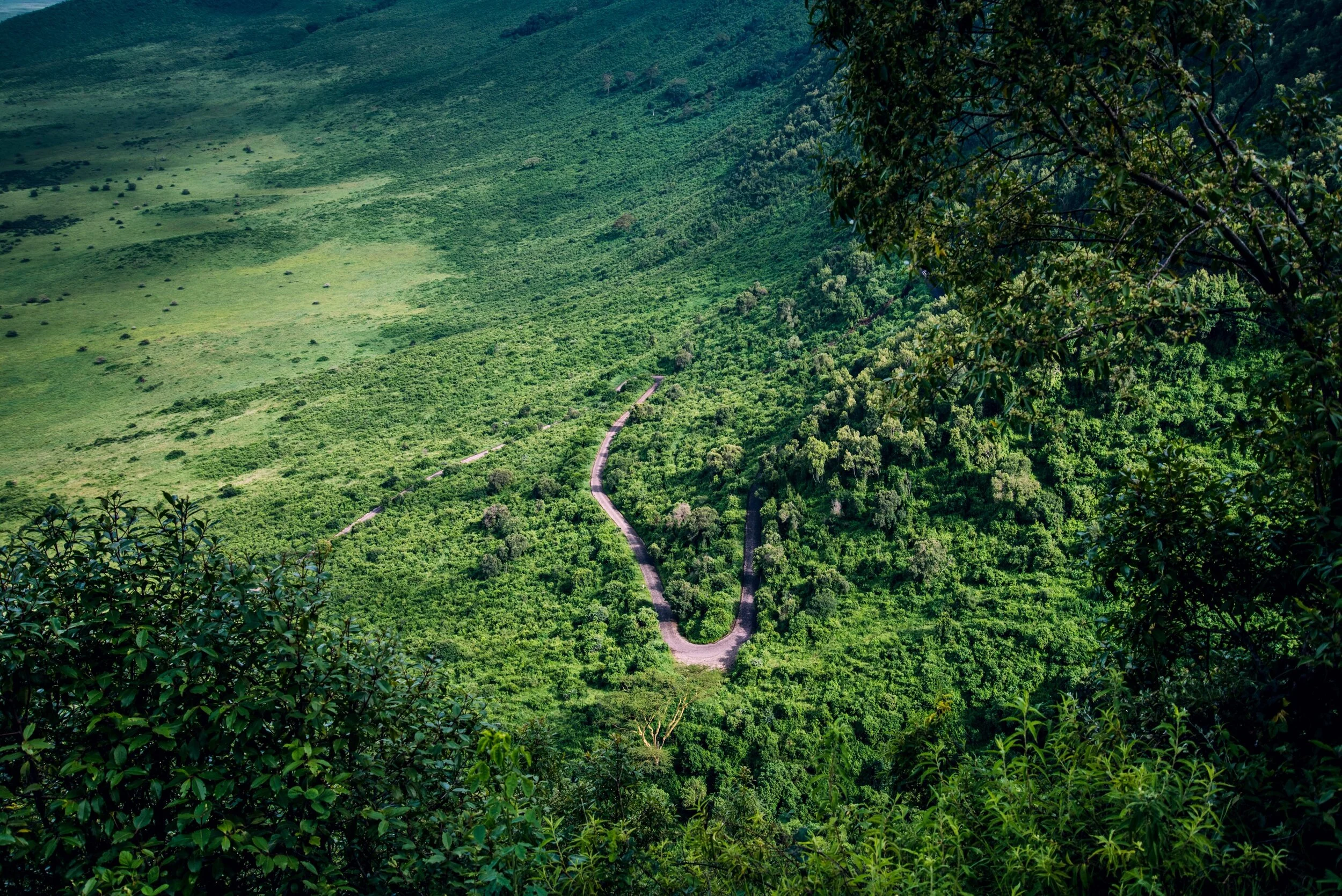 Road out of the Ngorongoro Crater, Tanzania 