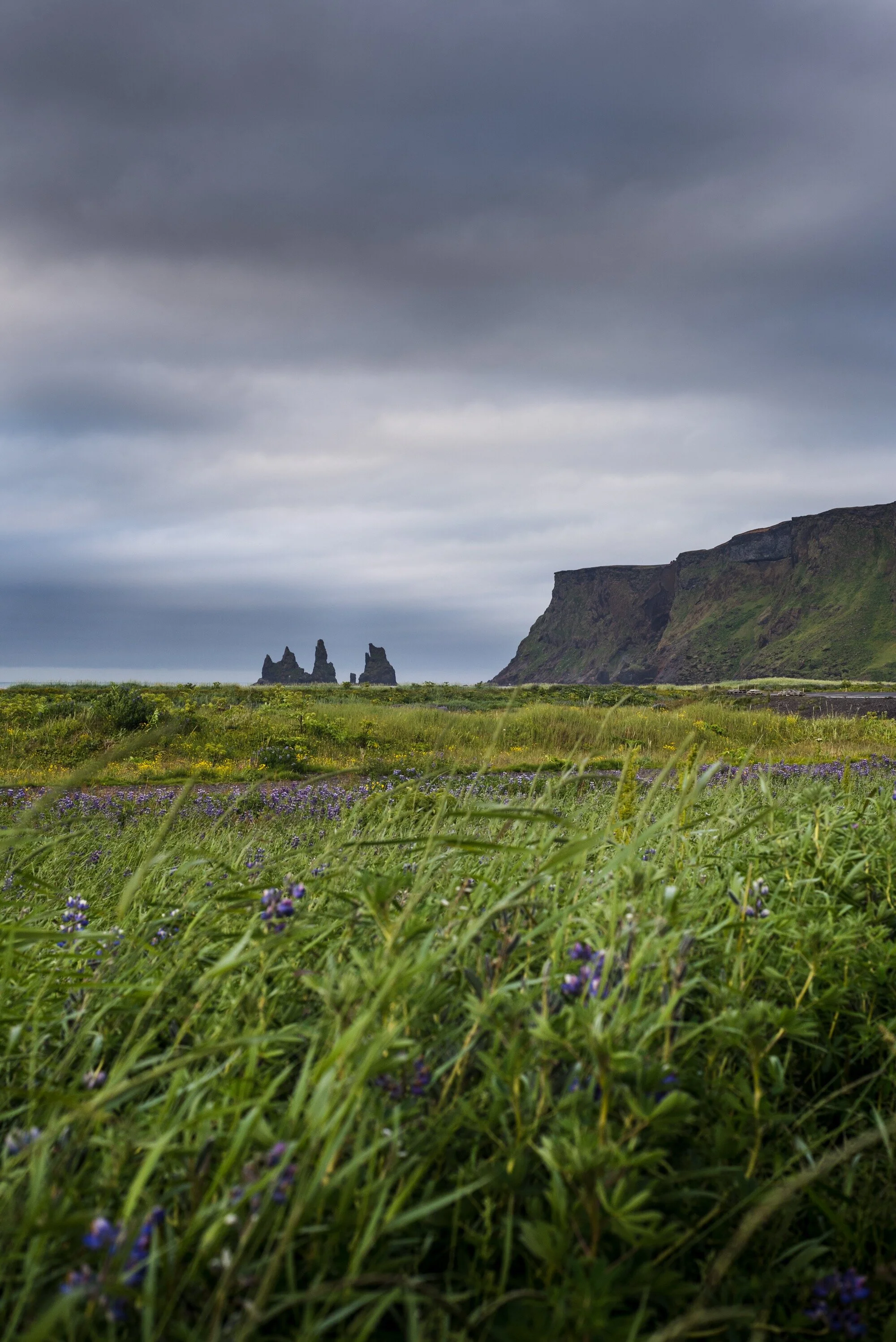 Reynisdrangar, Iceland 