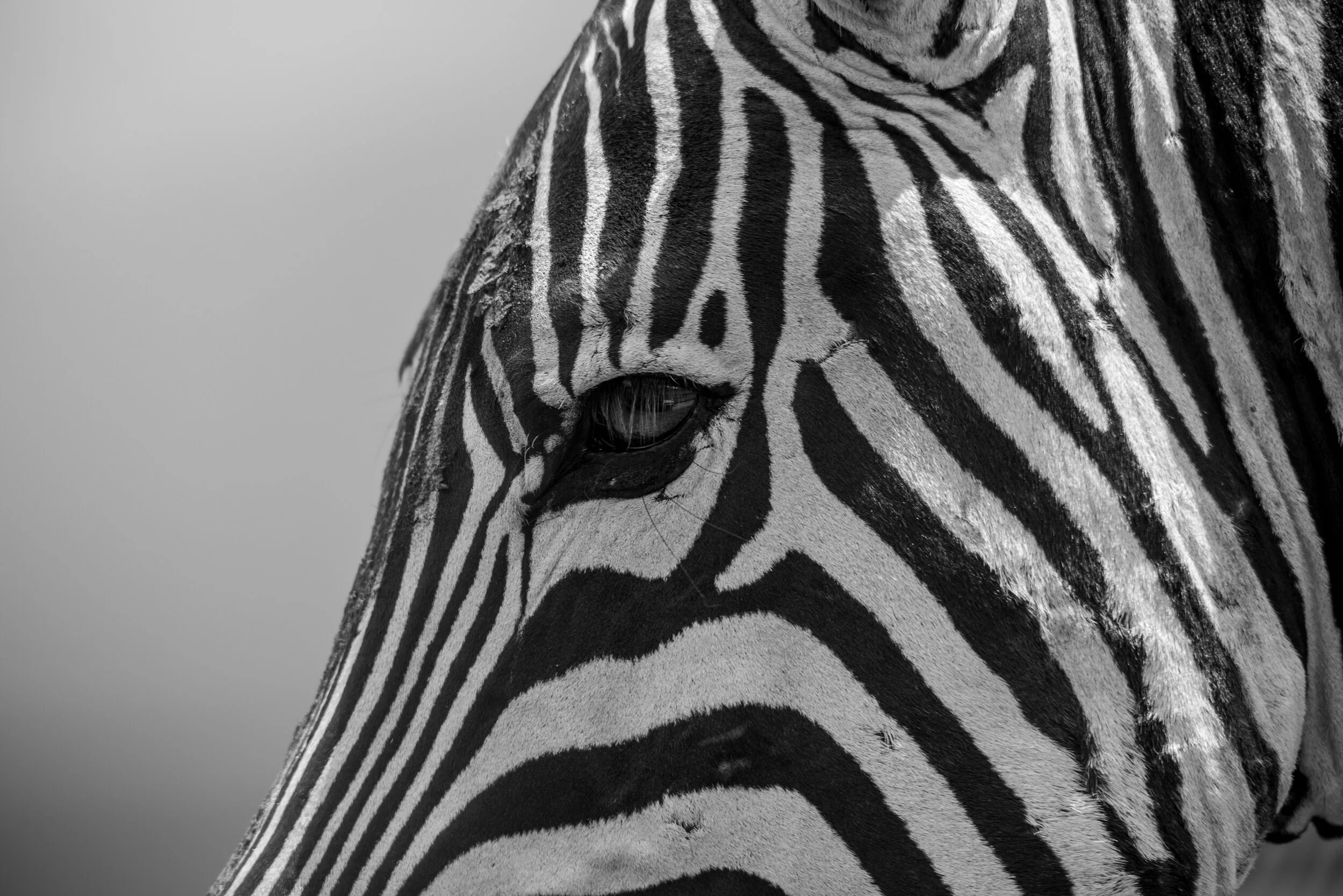 3A78C09F-13C5-4B27-A4C2-305325E80C43.jpeg
