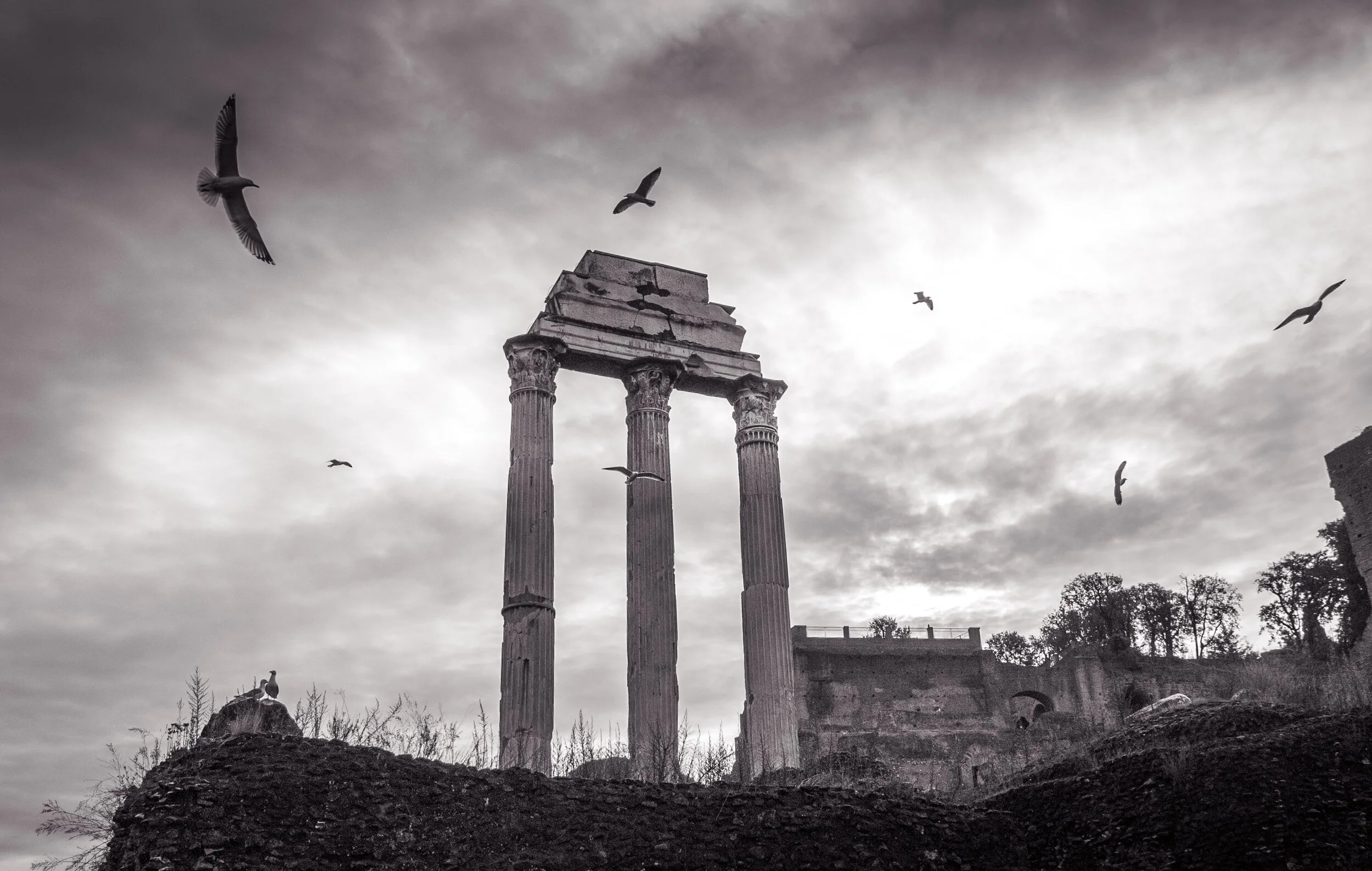 Roman Forum ruins, Rome, Italy 