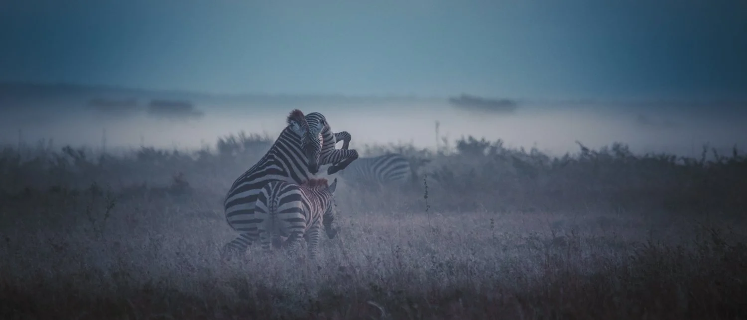 Kenya-20.JPG