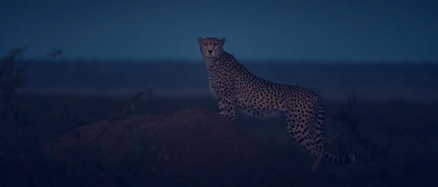 Kenya-25.JPG