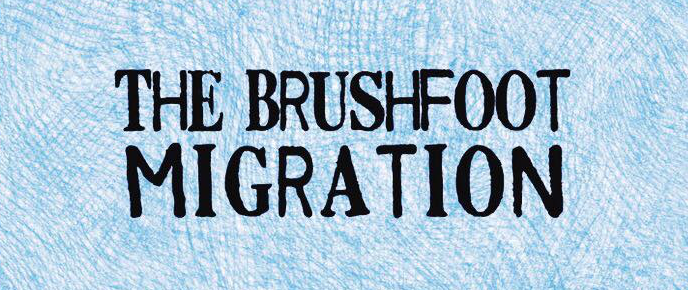 The Brushfoot Migration
