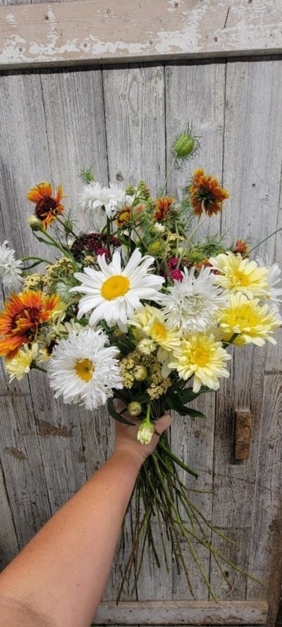 Summer+bouquet+daisy.jpg
