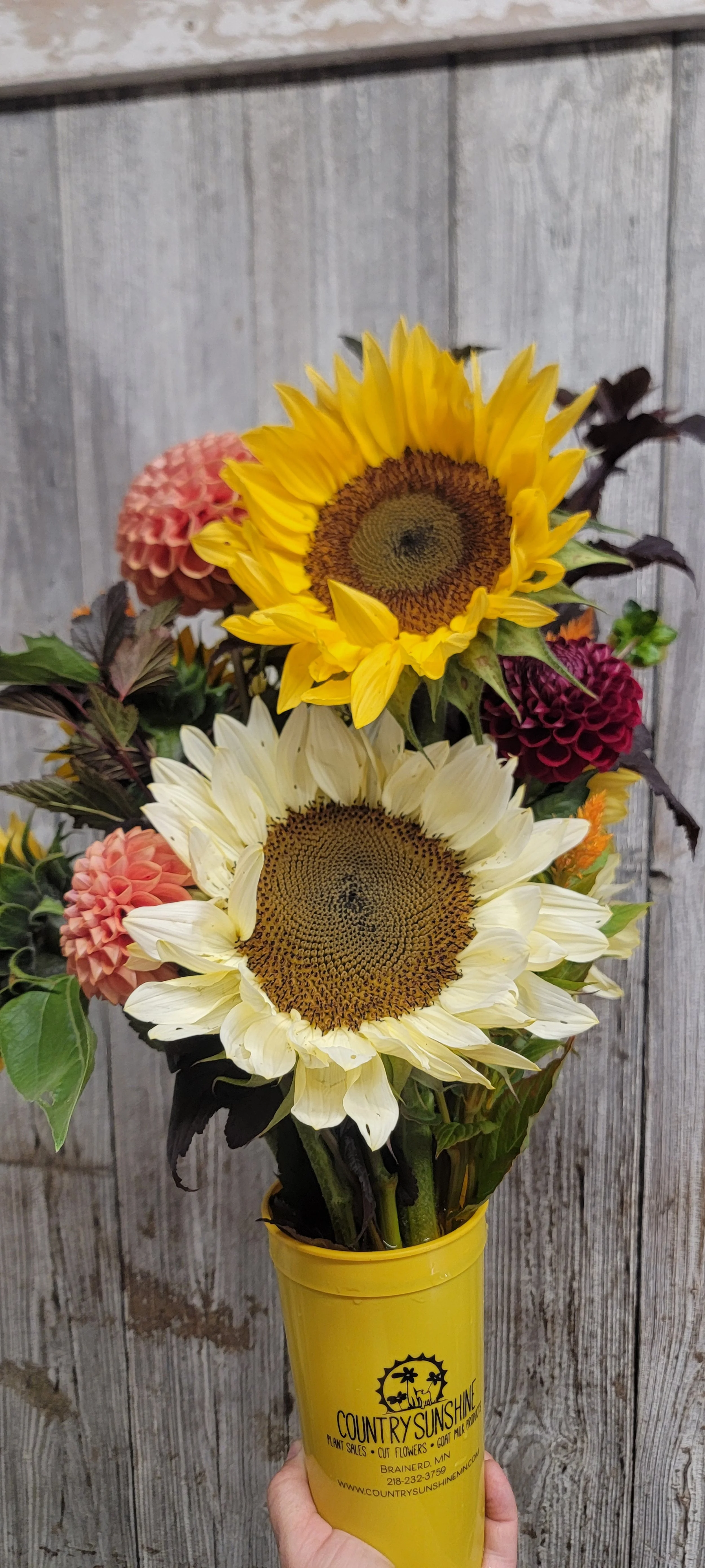 Fall Subscription Delivered